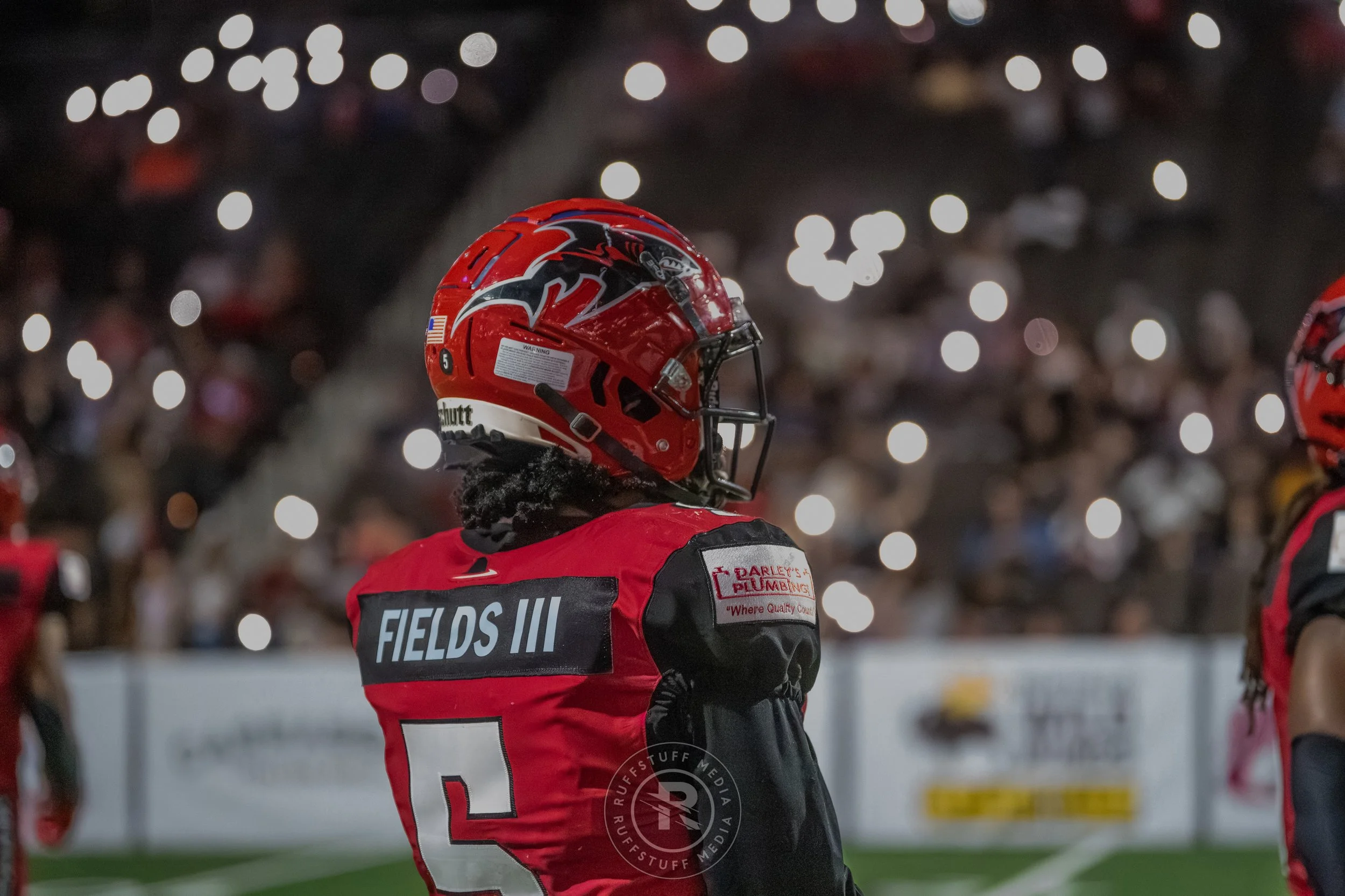 Sharks 260417-452_resize.JPG