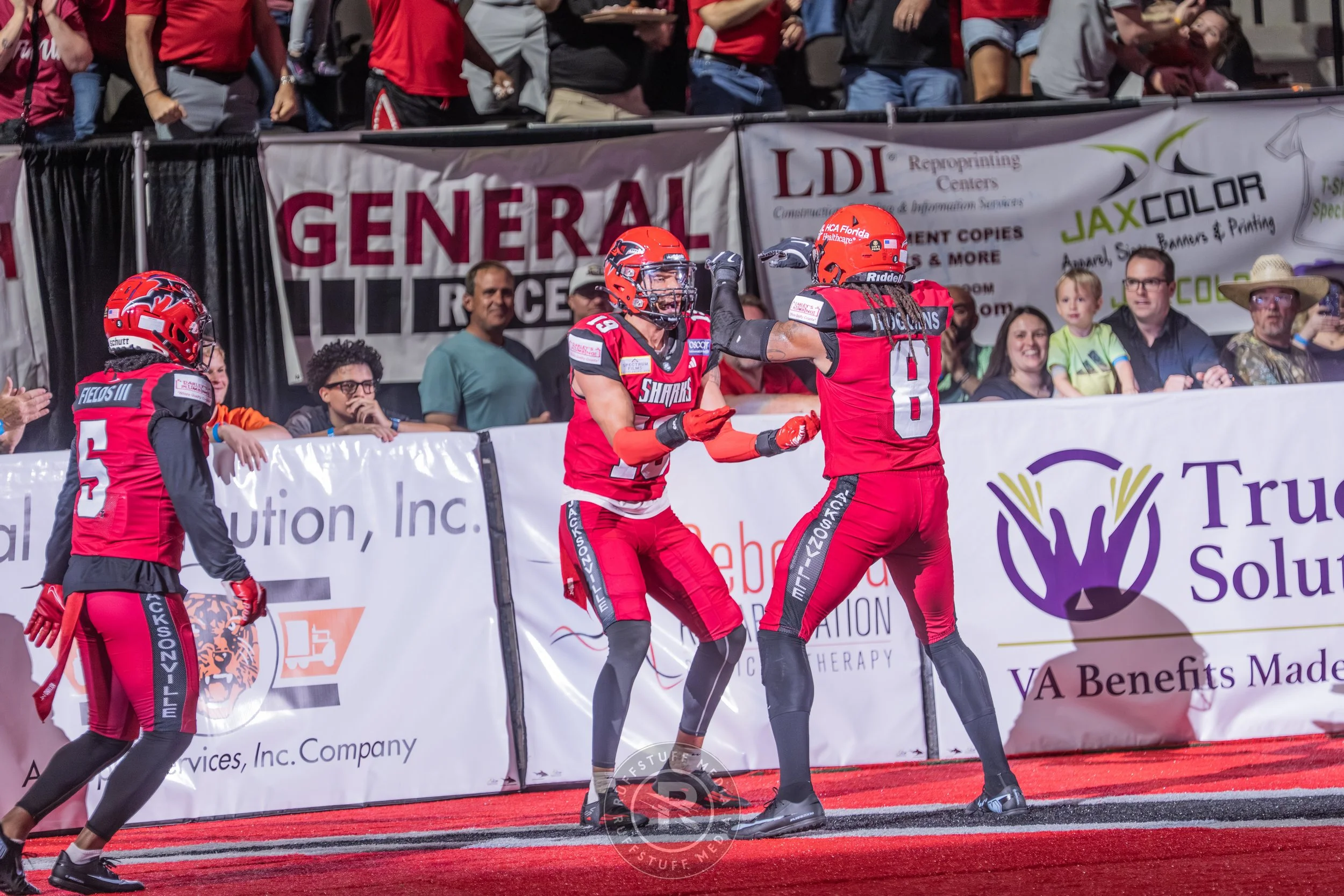 Sharks 260417-147_resize.JPG