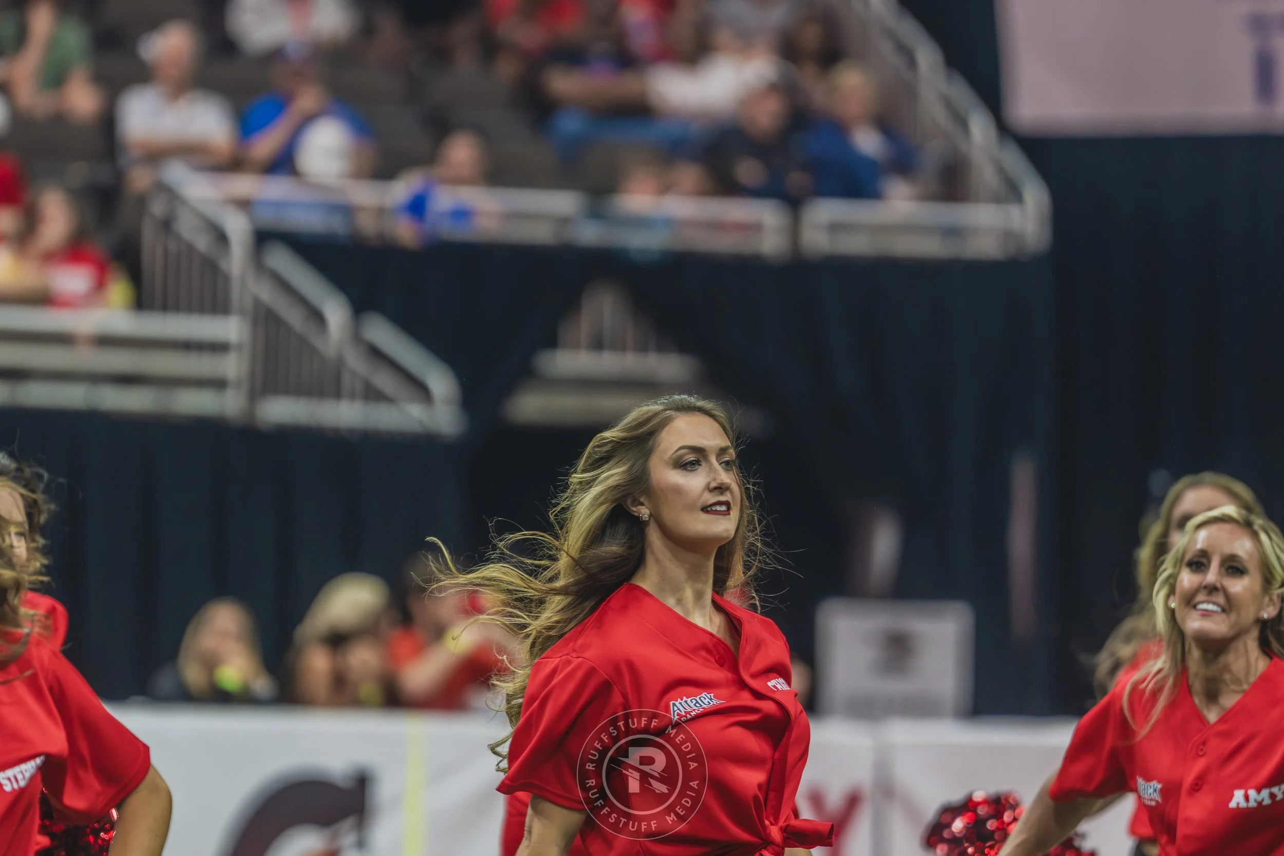 Sharks 260628-237.JPG