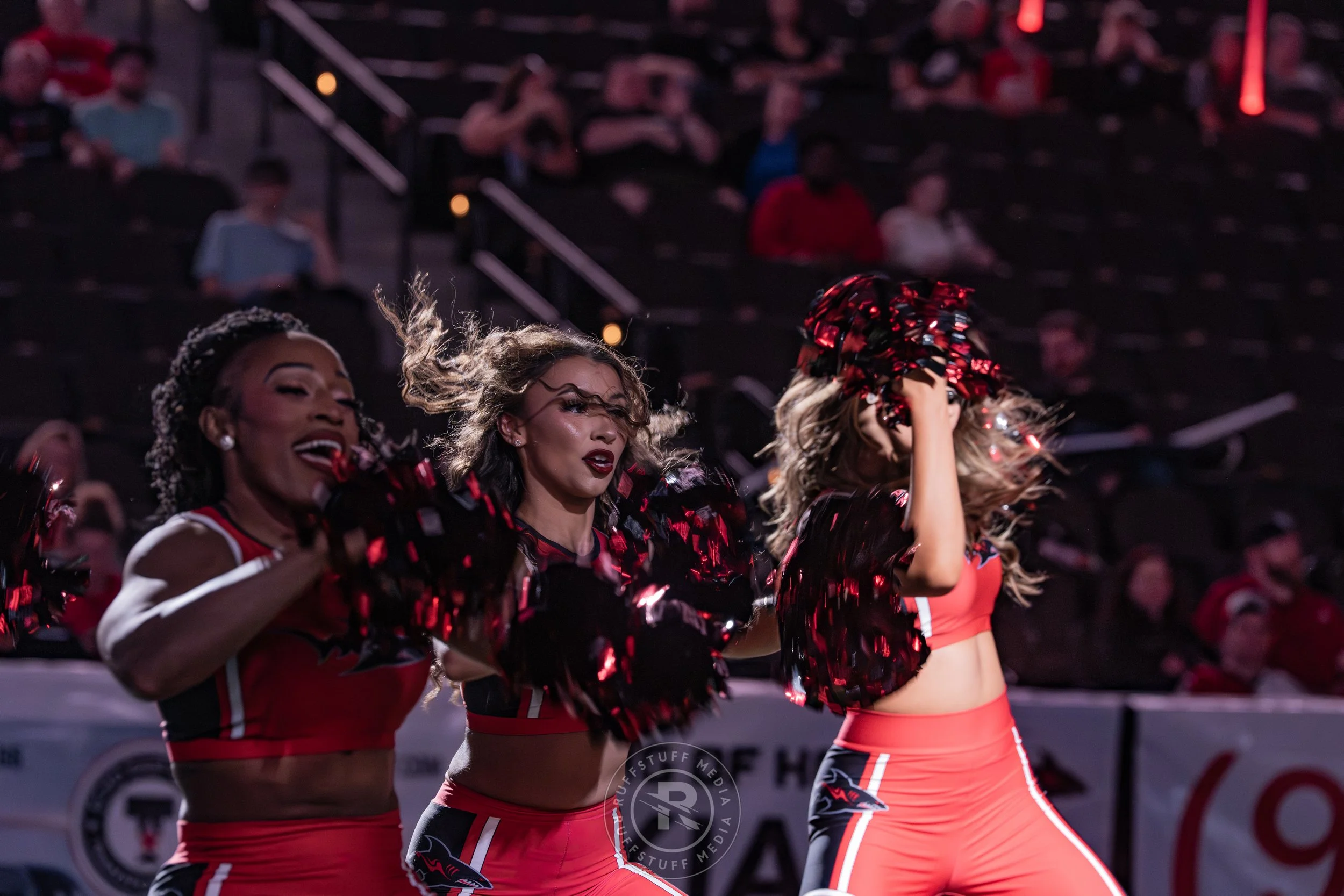 Sharks 260530-62.JPG