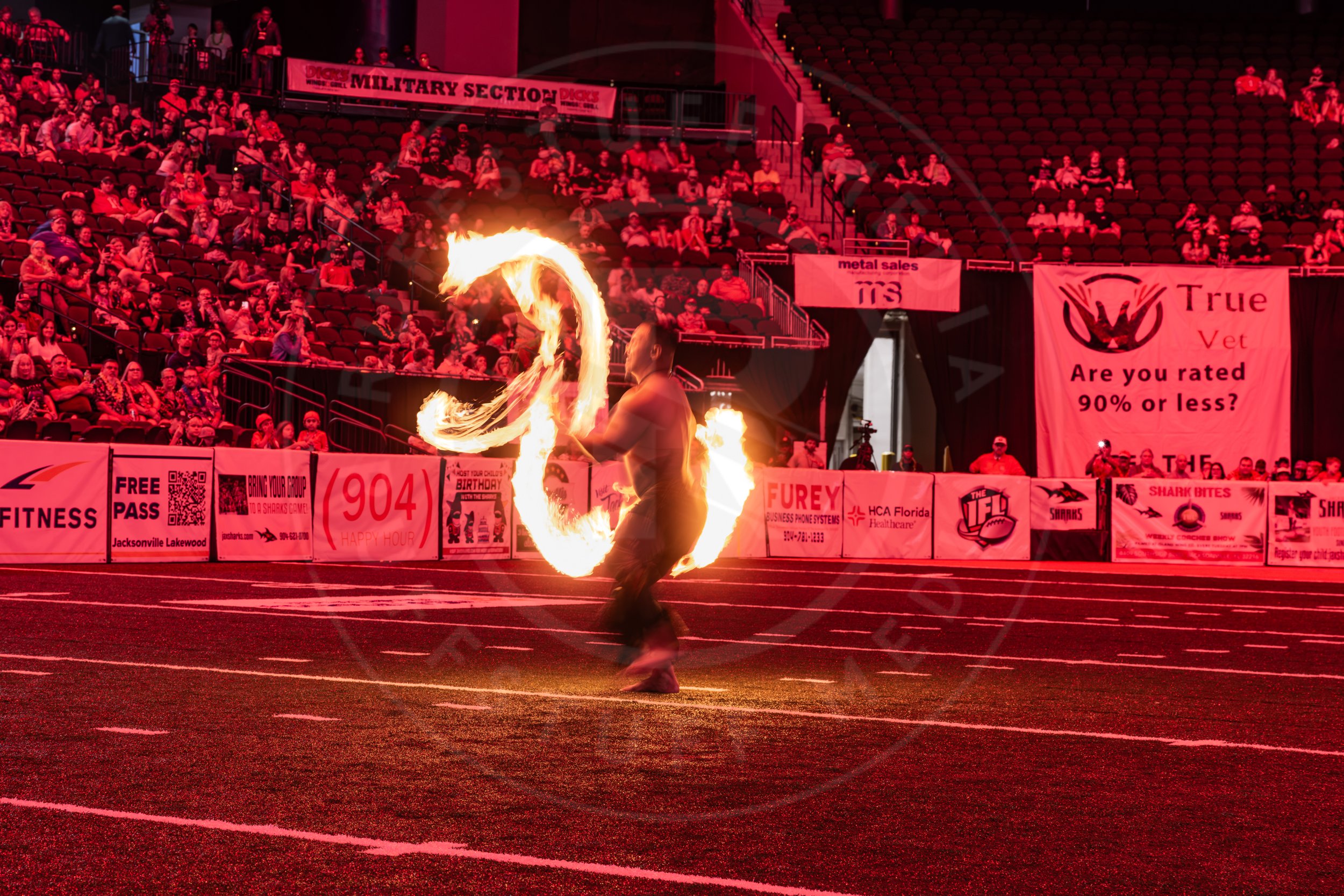 Sharks 260718-205.JPG