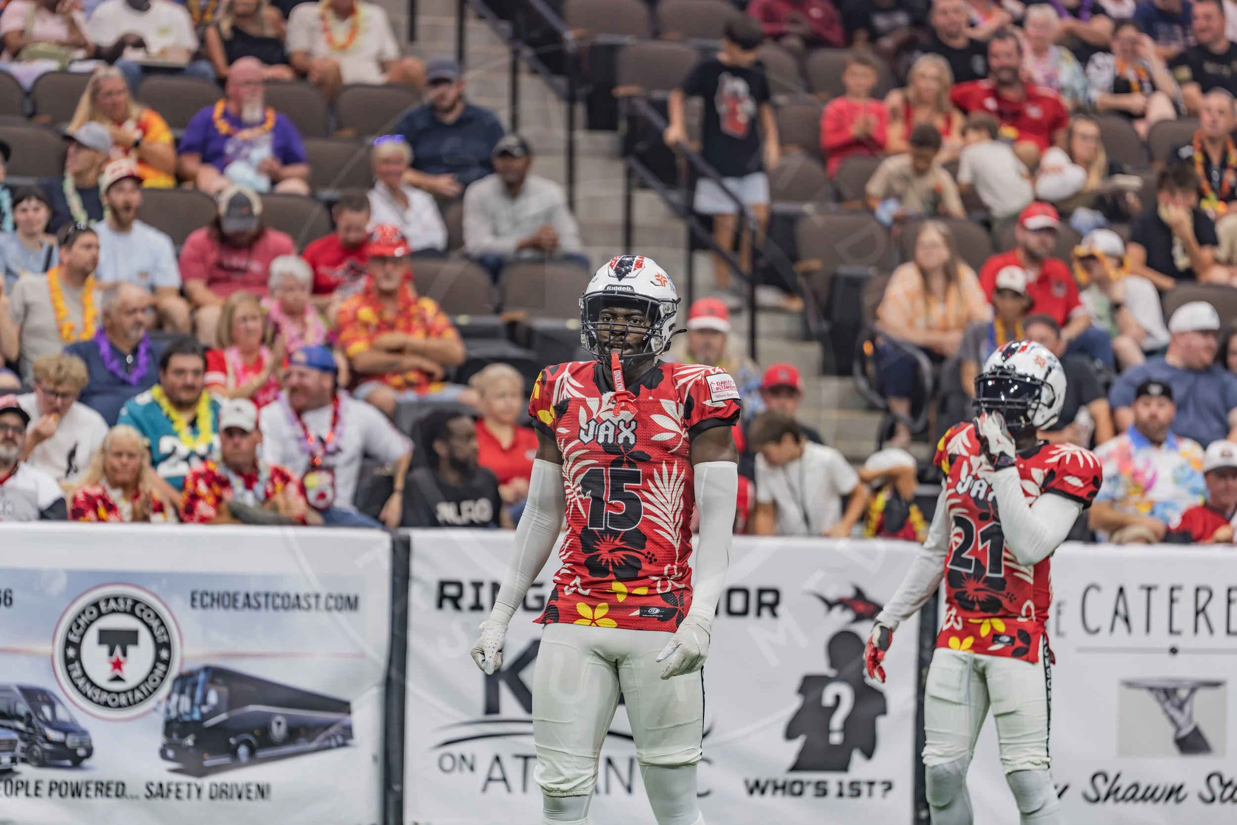 Sharks 260718-45.JPG