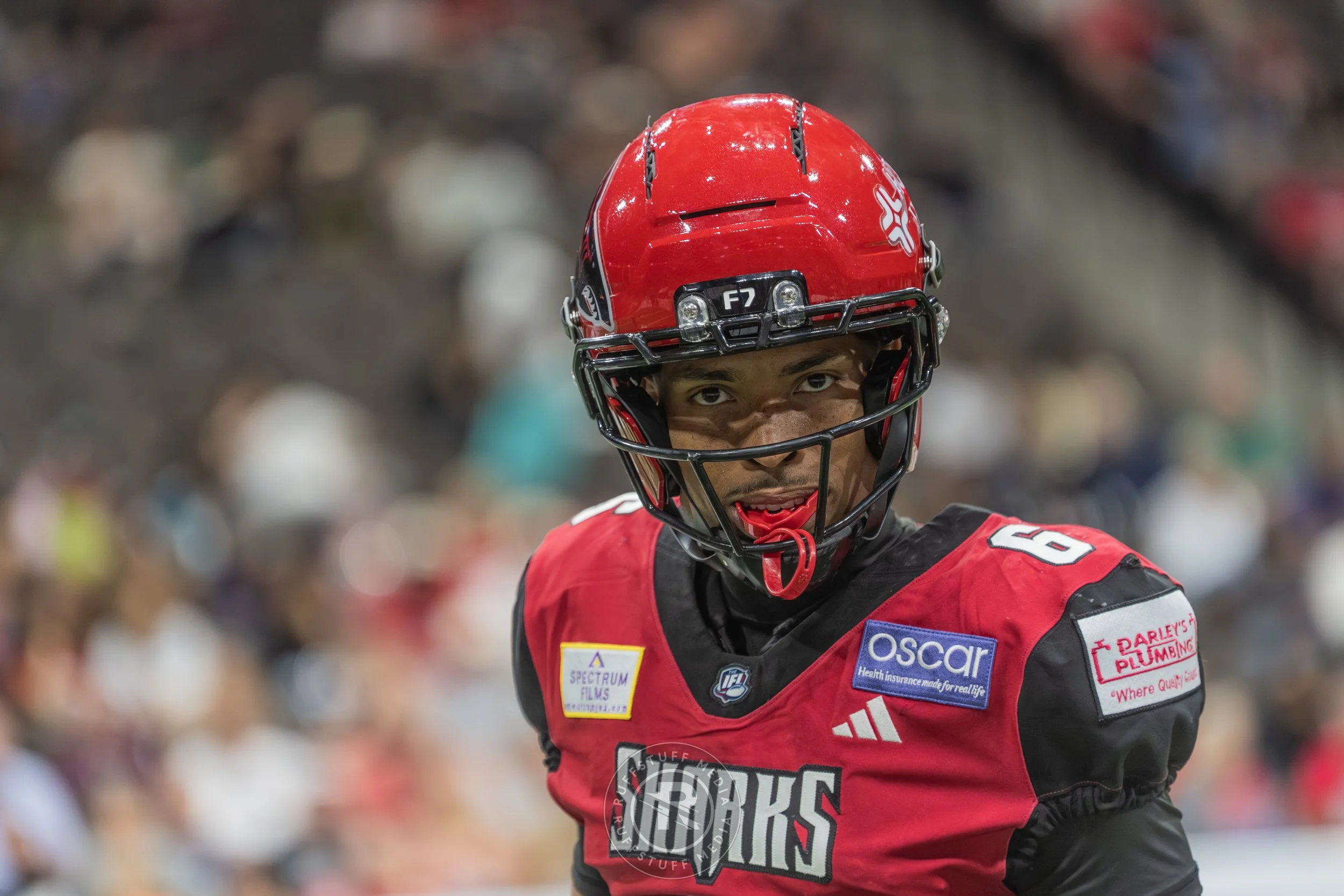 Sharks 260417-413.JPG