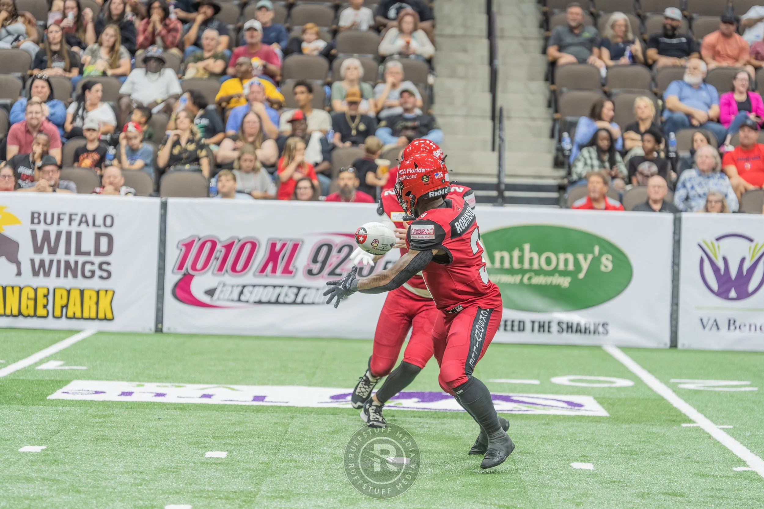 Sharks 260417-436.JPG