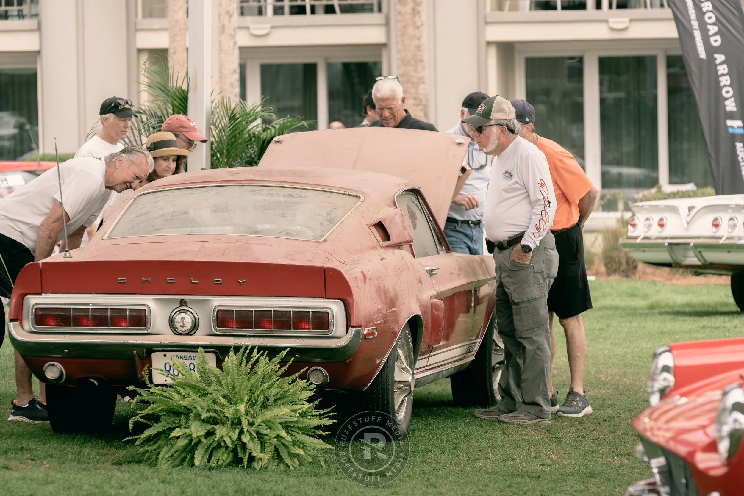 Amelia 260306-60.JPG