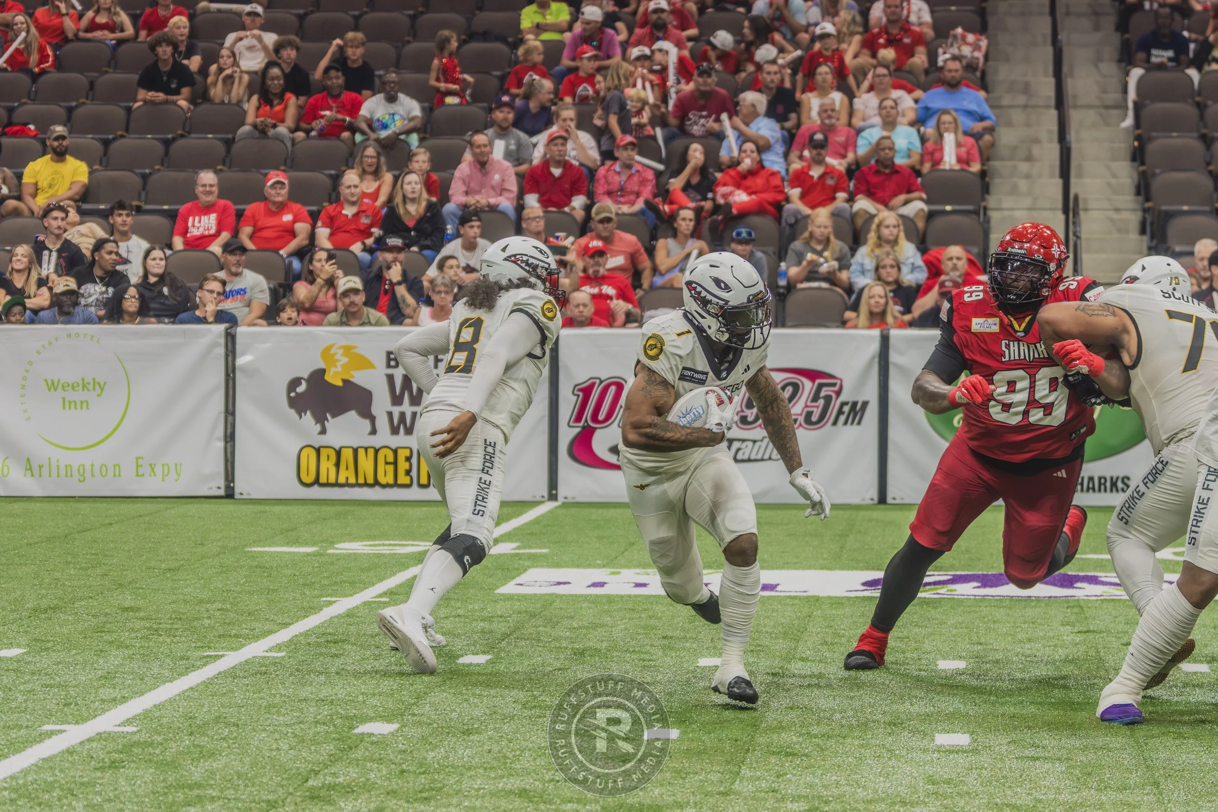 Sharks 260628-151.JPG