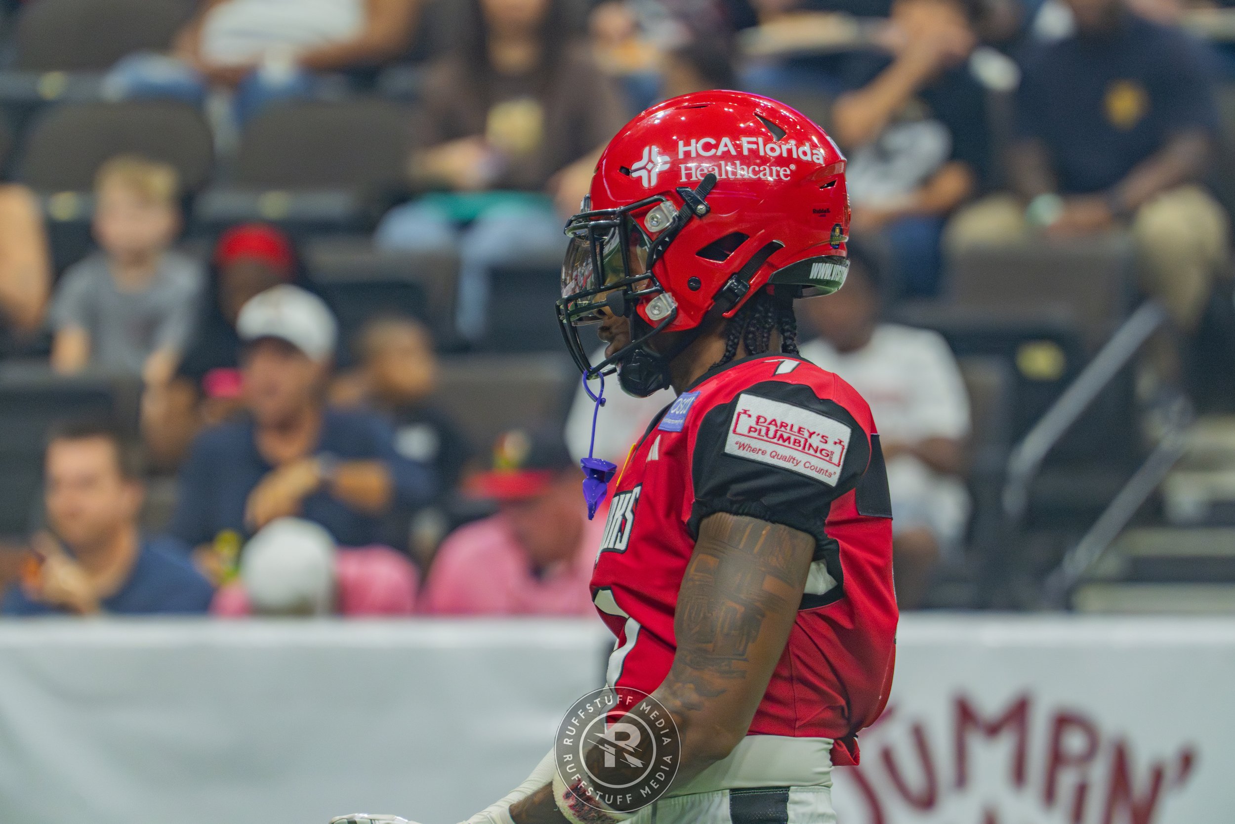 Sharks 260606-88.jpg