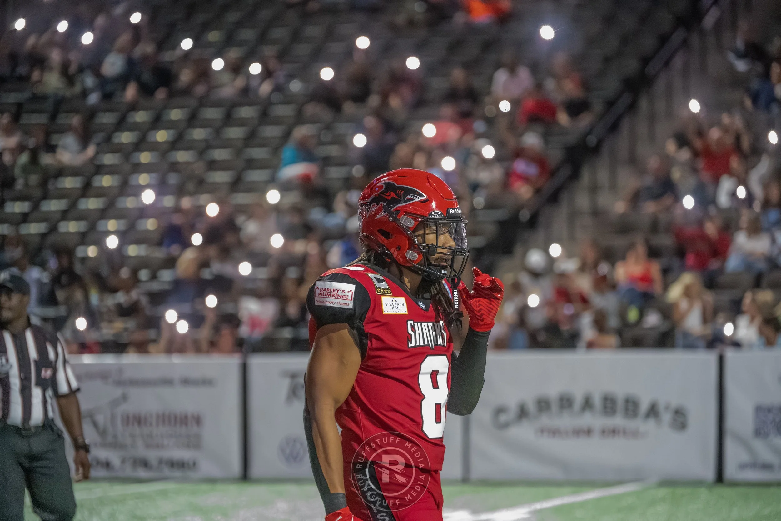 Sharks 260417-450_resize.JPG