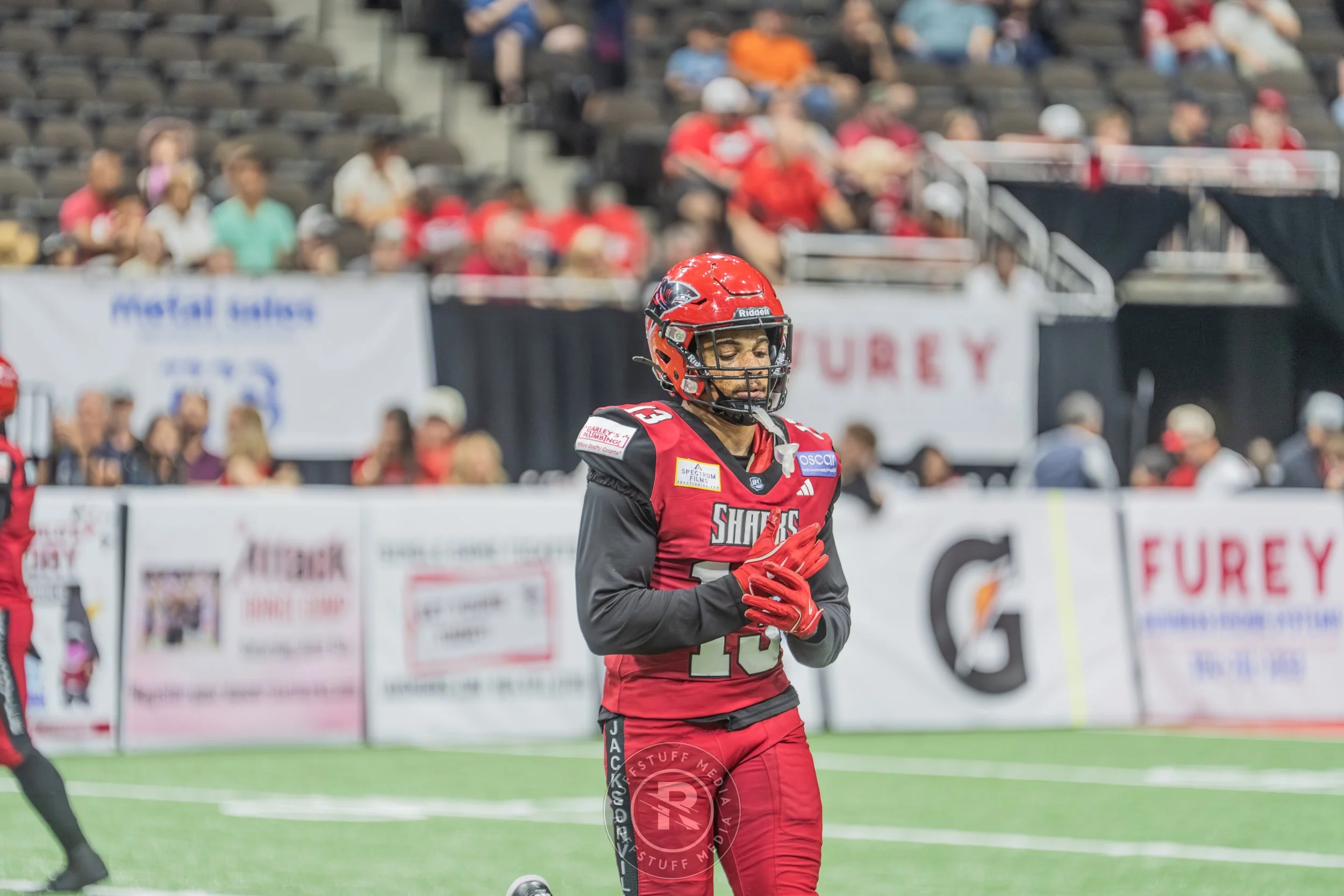 Sharks 260417-428.JPG