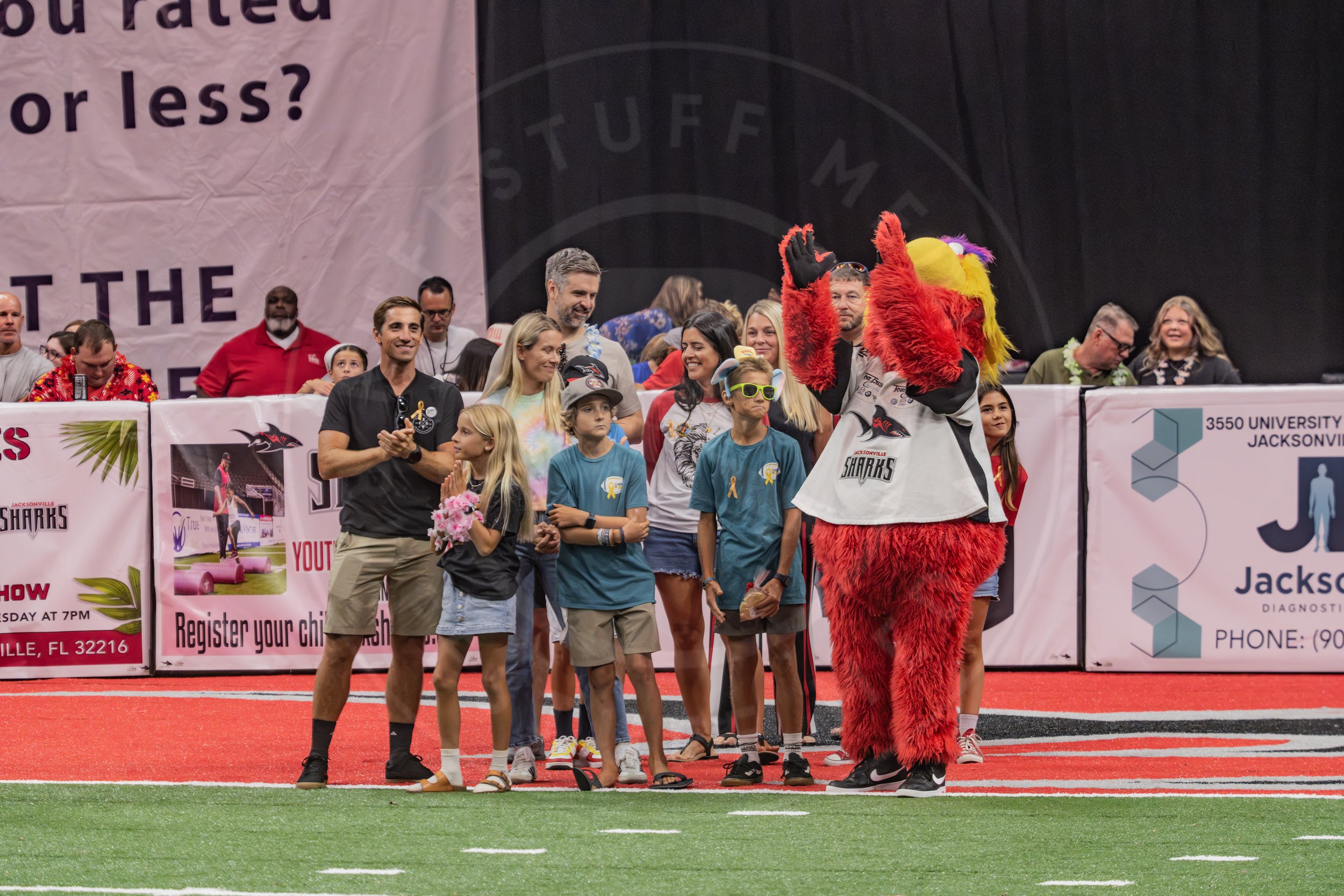 Sharks 260718-154.JPG