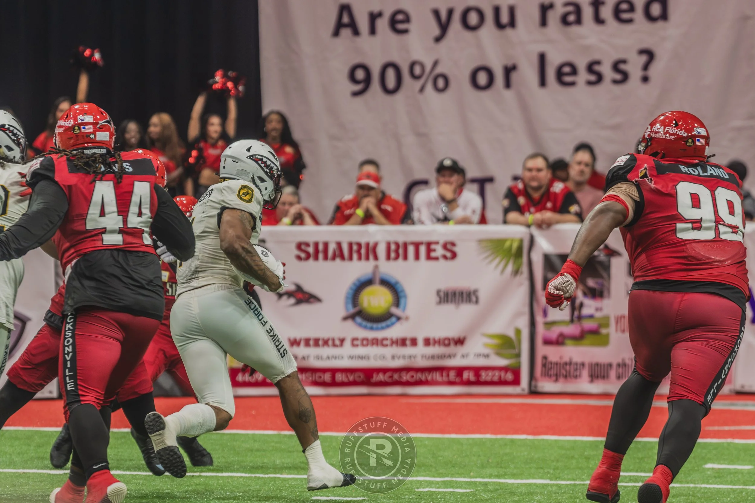 Sharks 260628-447.JPG