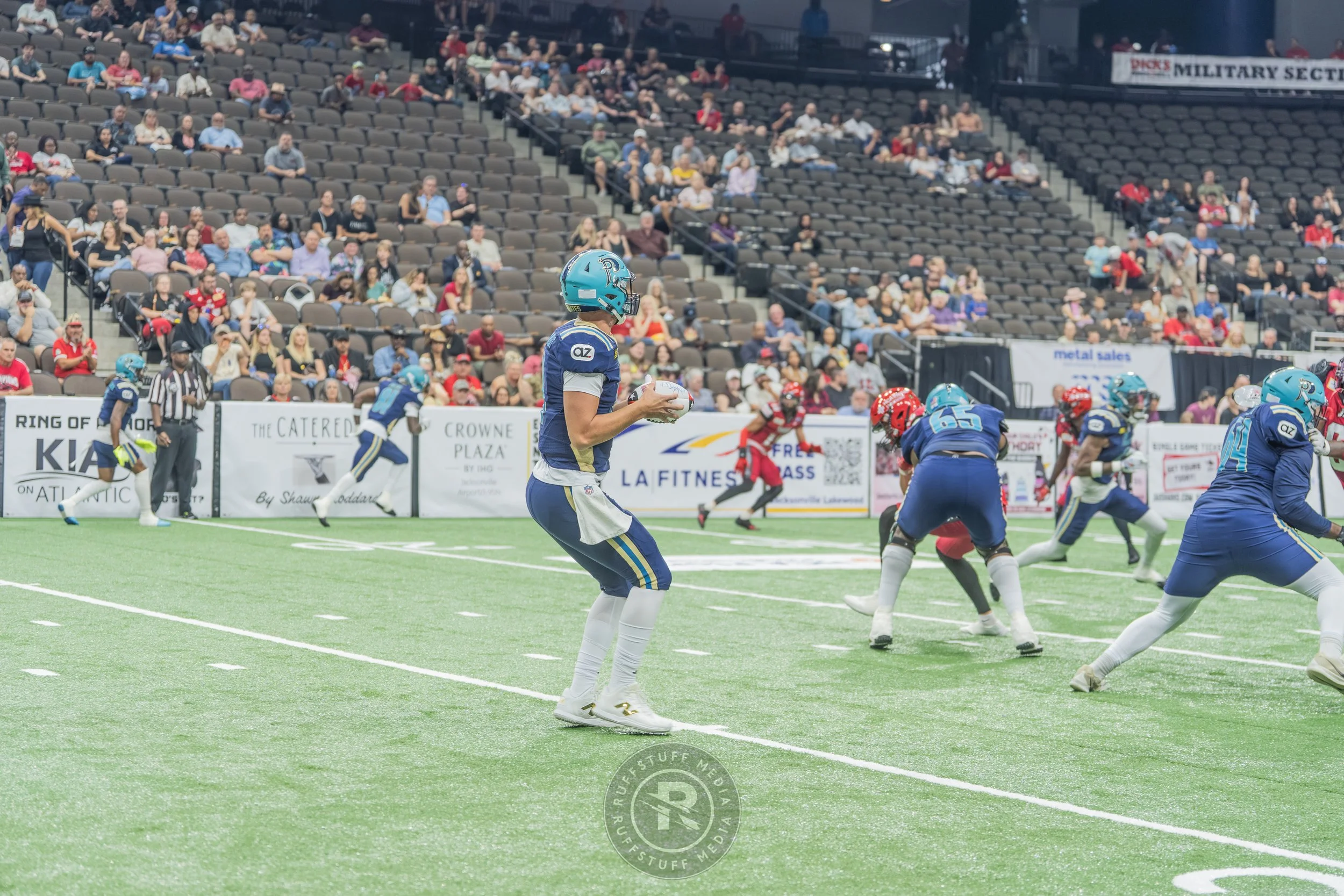 Sharks 260417-130.JPG