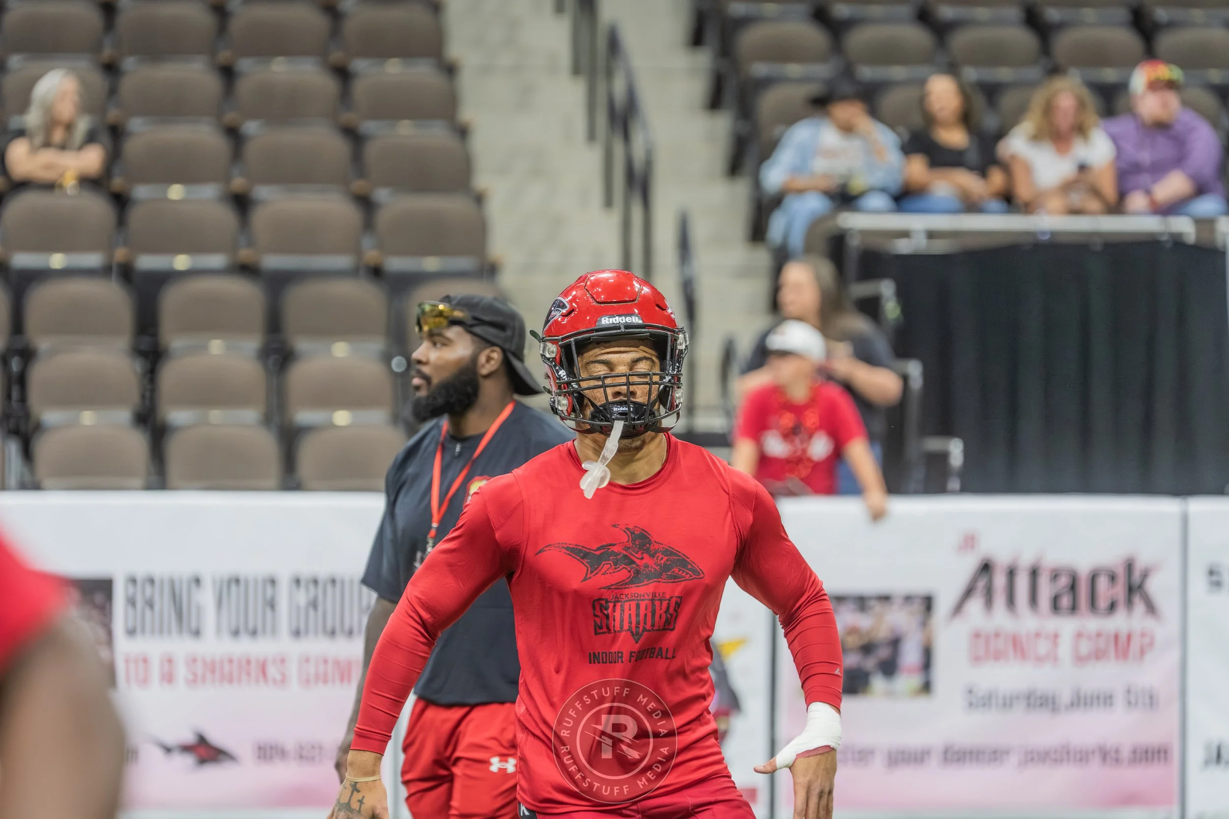 Sharks 260417-66.JPG