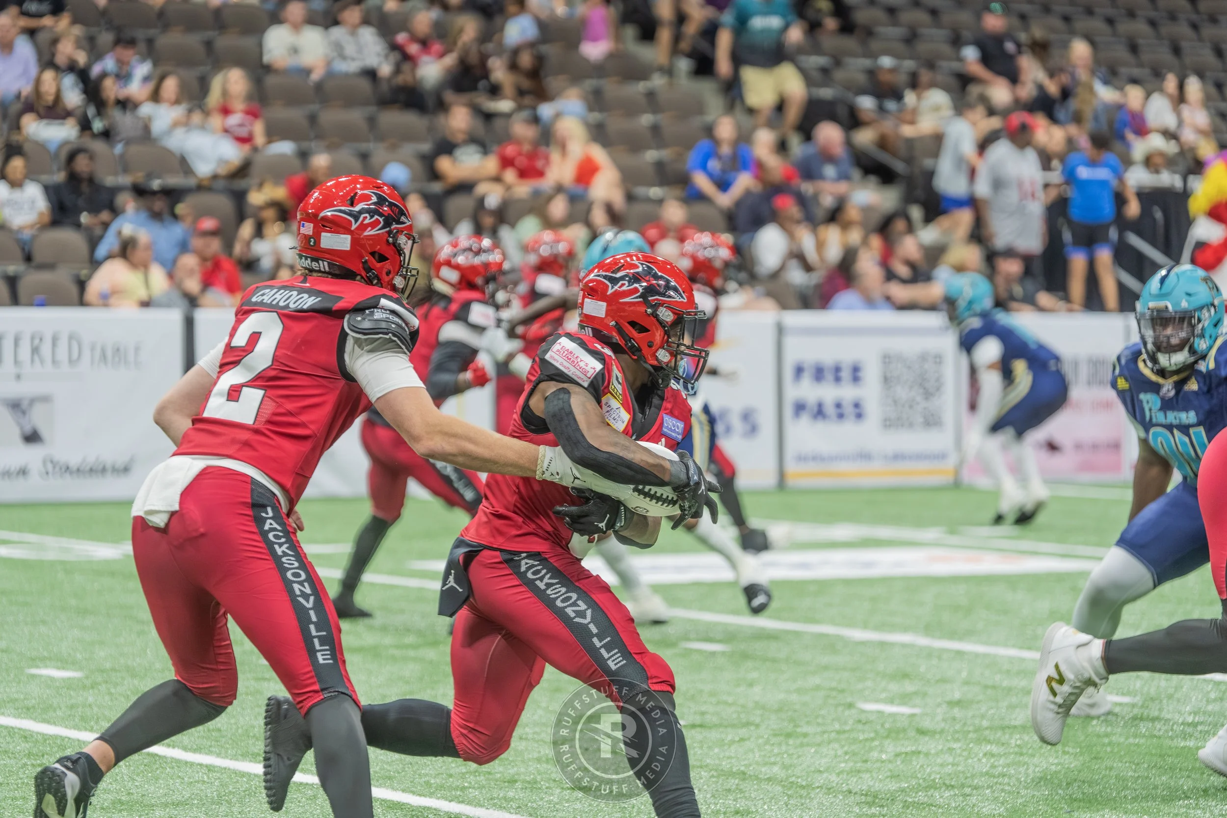 Sharks 260417-495.JPG