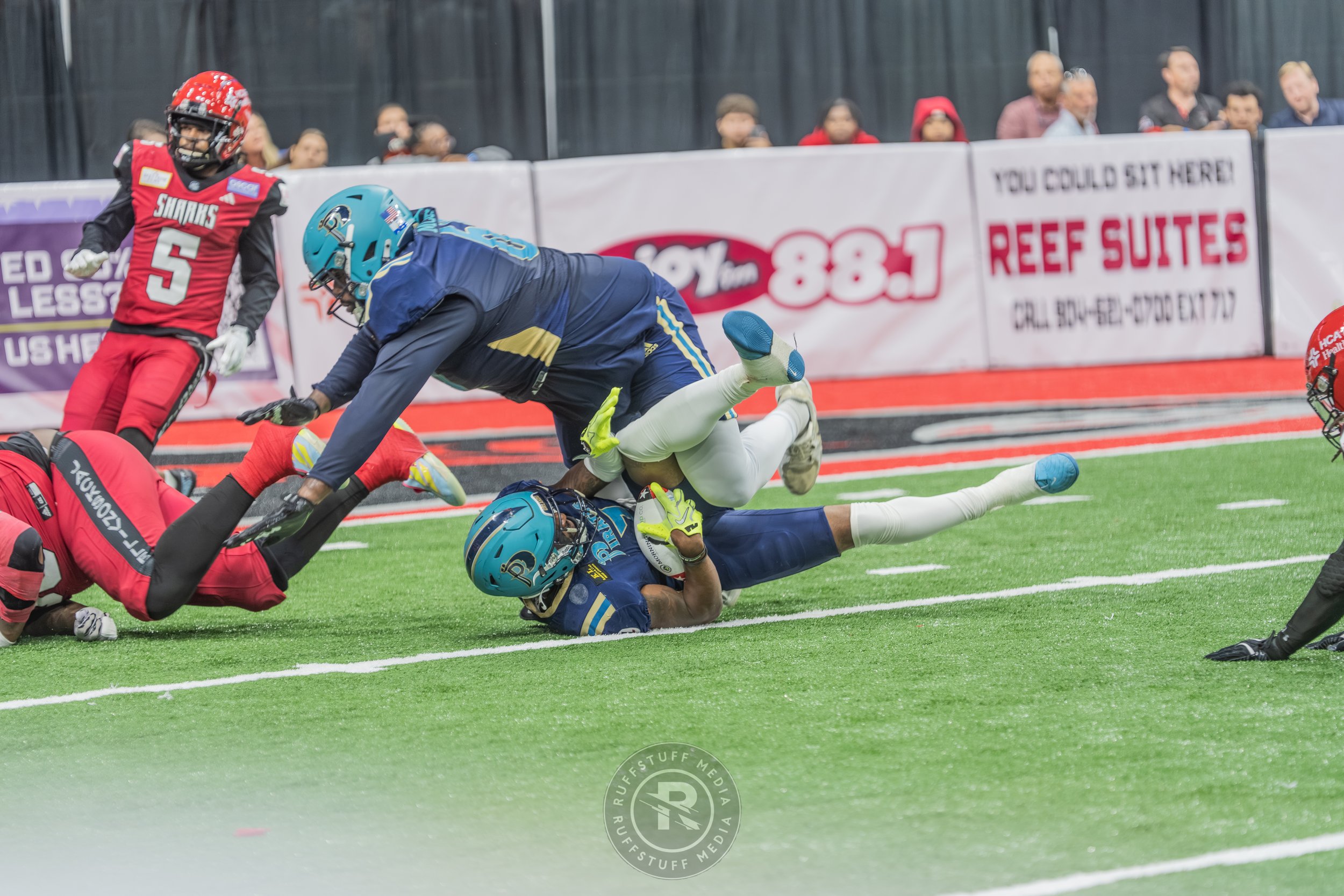 Sharks 260417-193.JPG