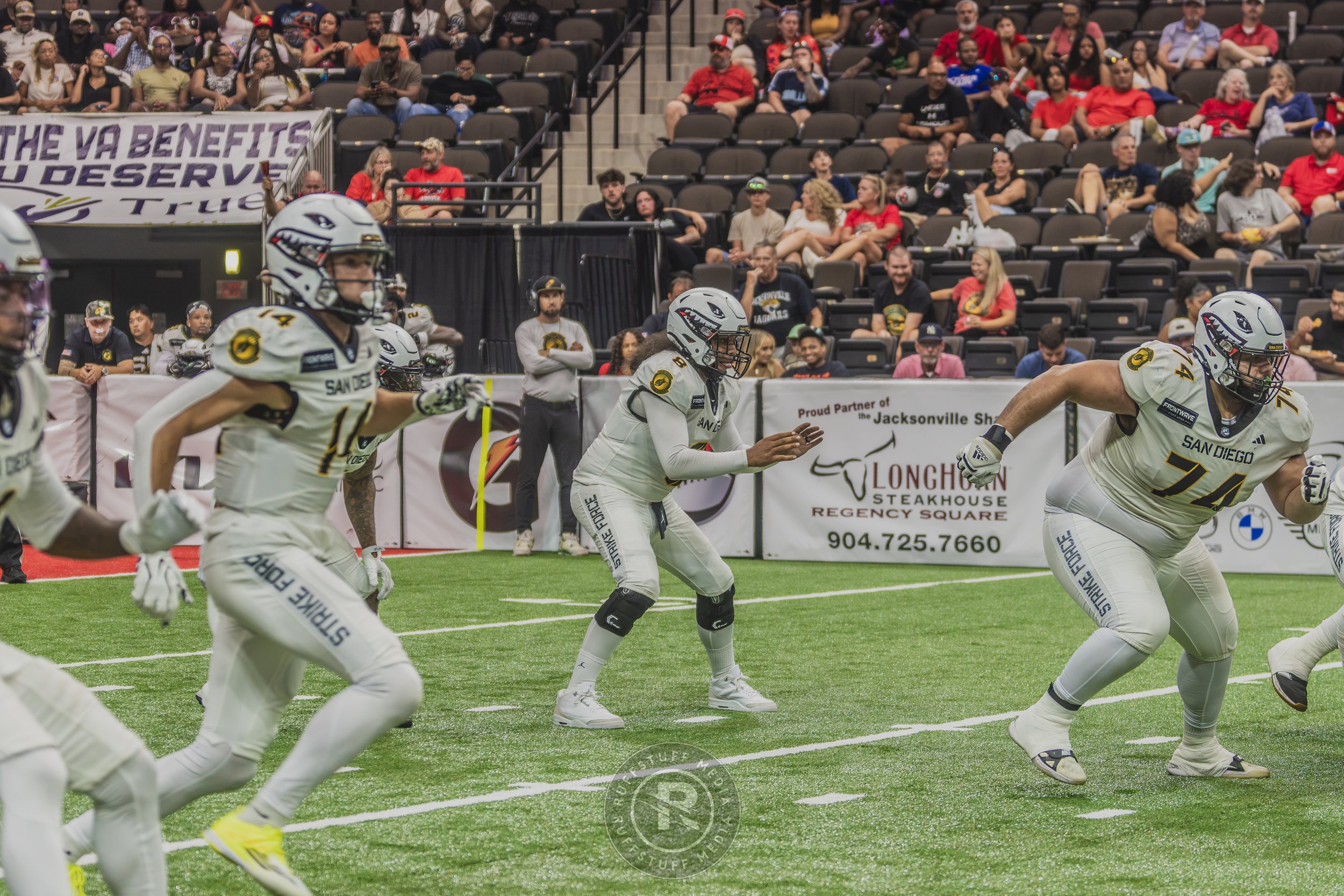 Sharks 260628-514.JPG