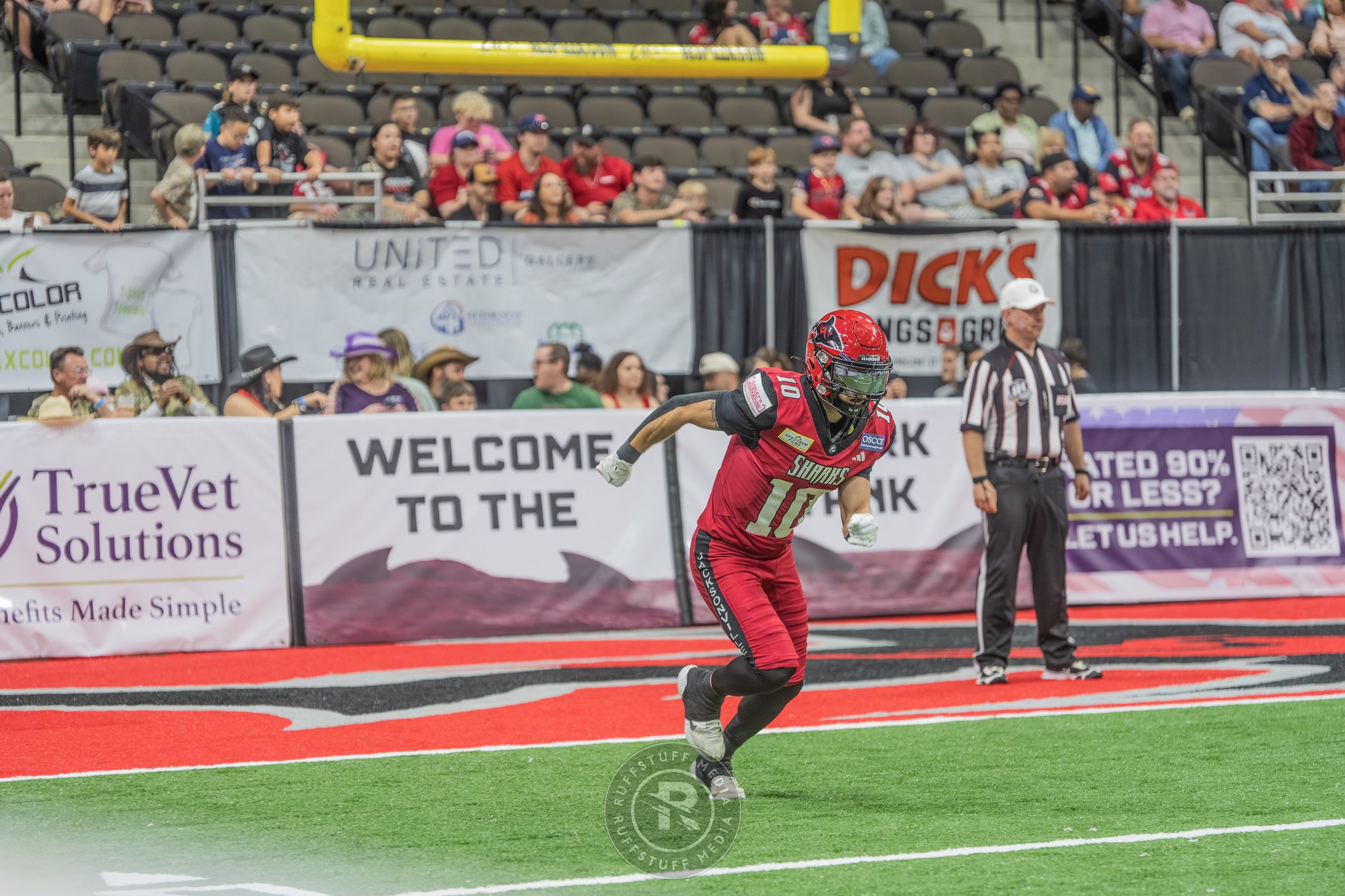 Sharks 260417-468.JPG