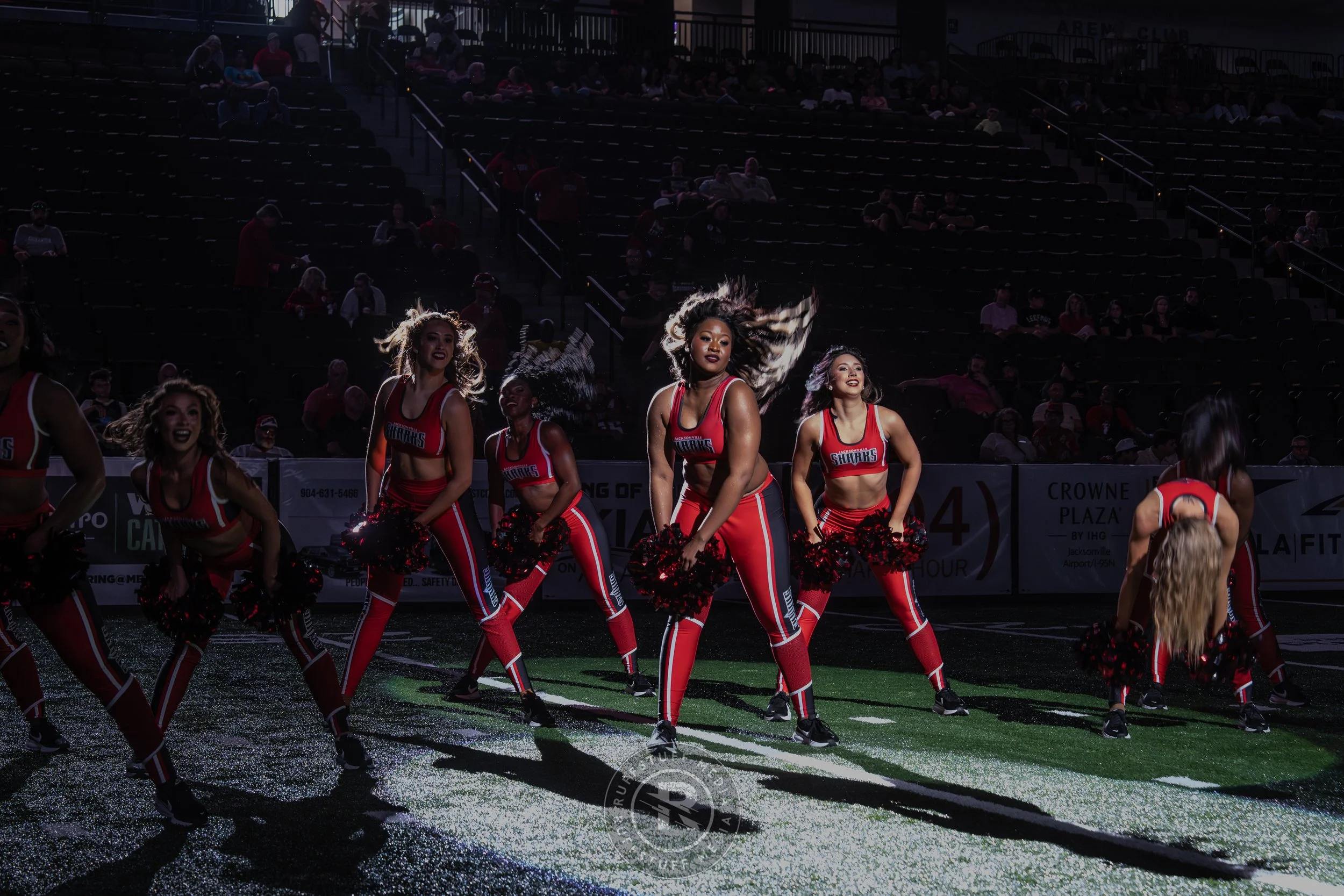 Sharks 260509-43.JPG