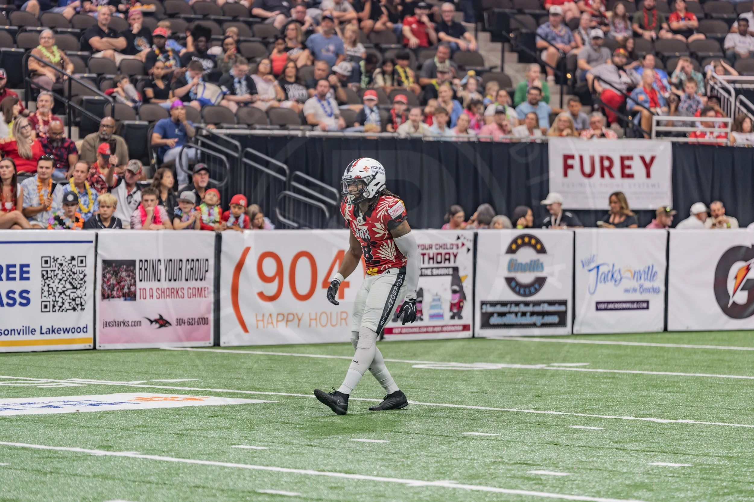 Sharks 260718-46.JPG