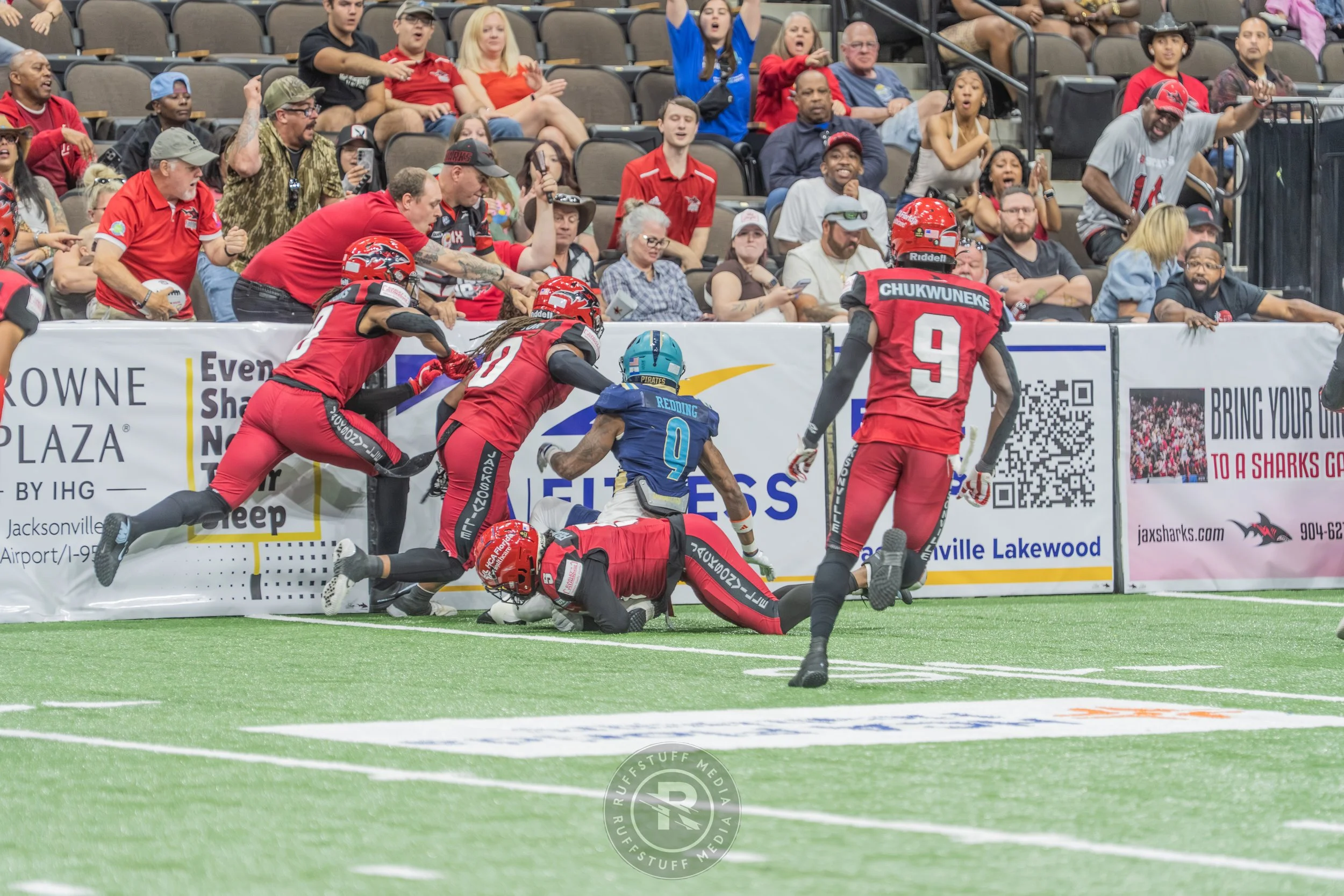 Sharks 260417-533.JPG