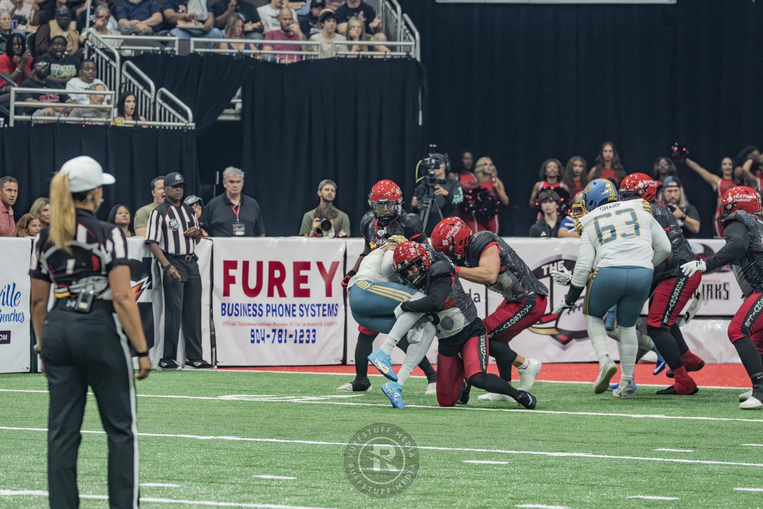 Sharks 260530-154.JPG