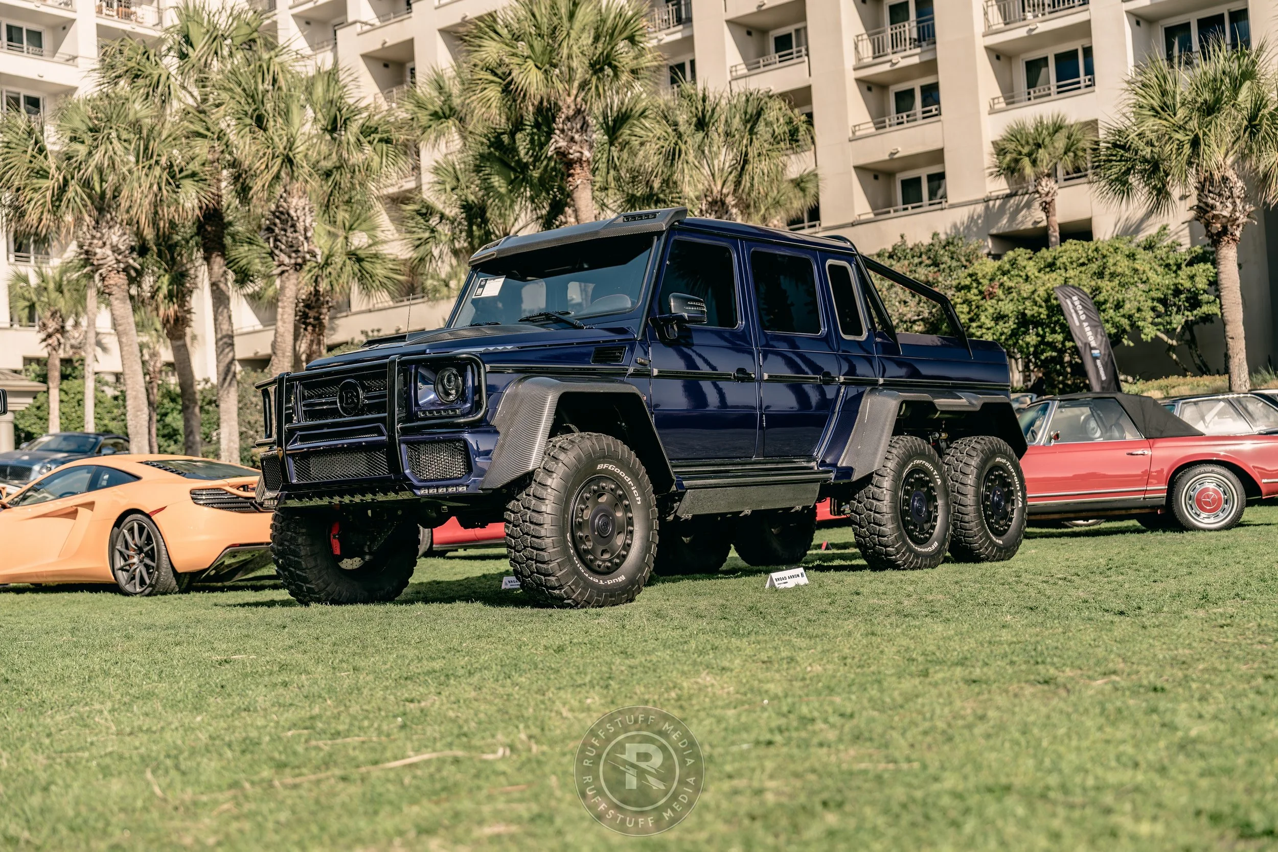 Amelia 260305-2_resize.JPG