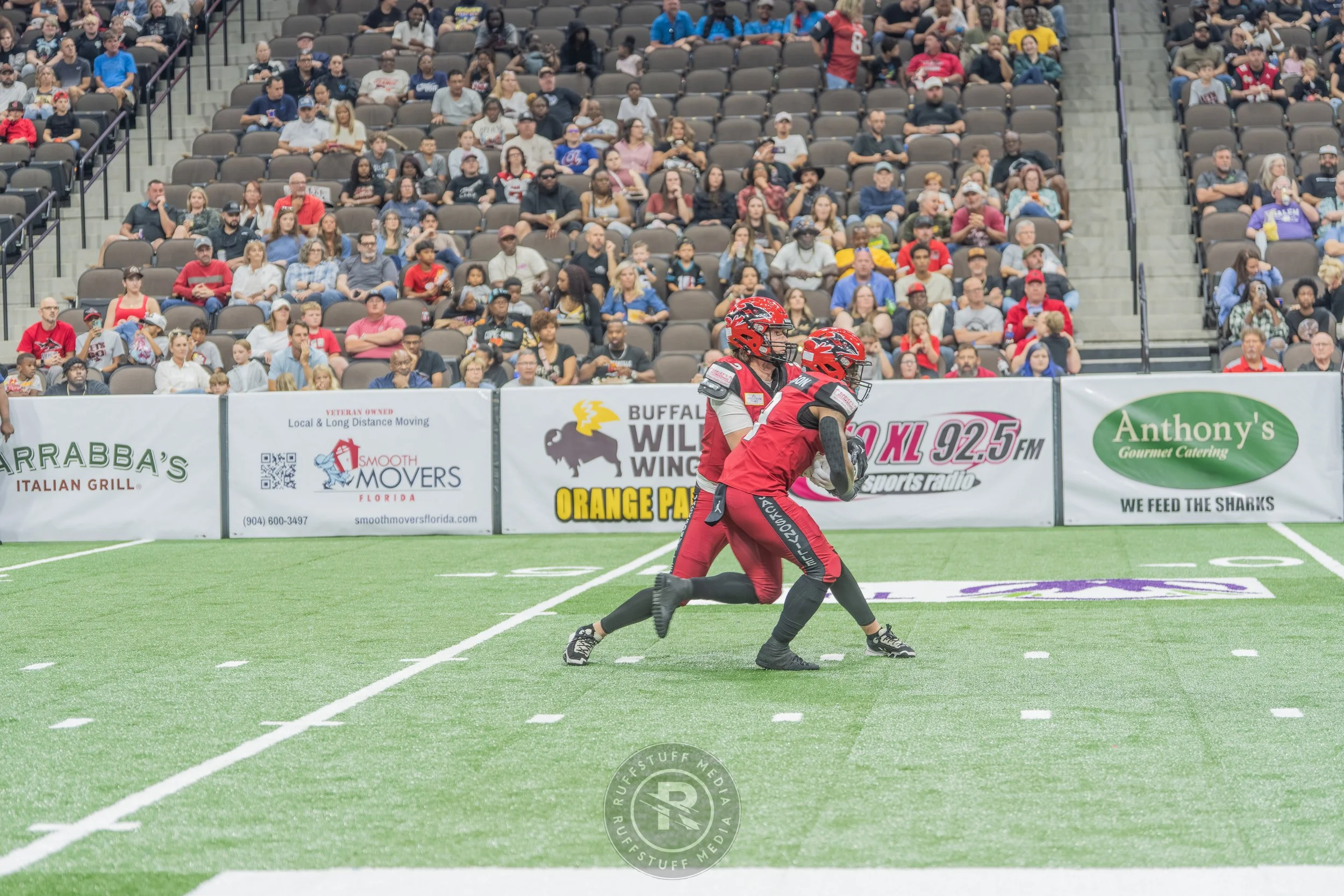 Sharks 260417-165.JPG