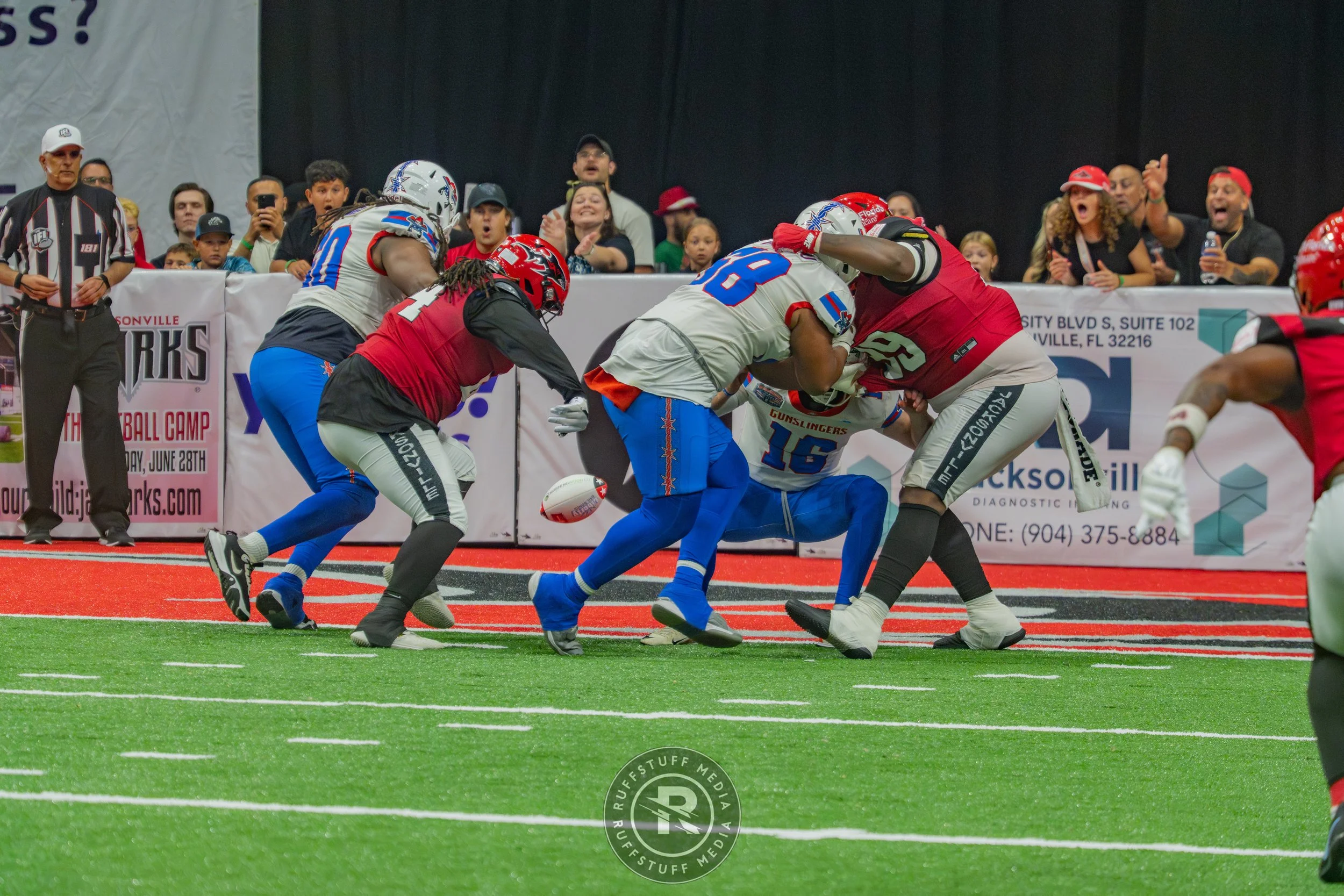 Sharks 260606-378.jpg