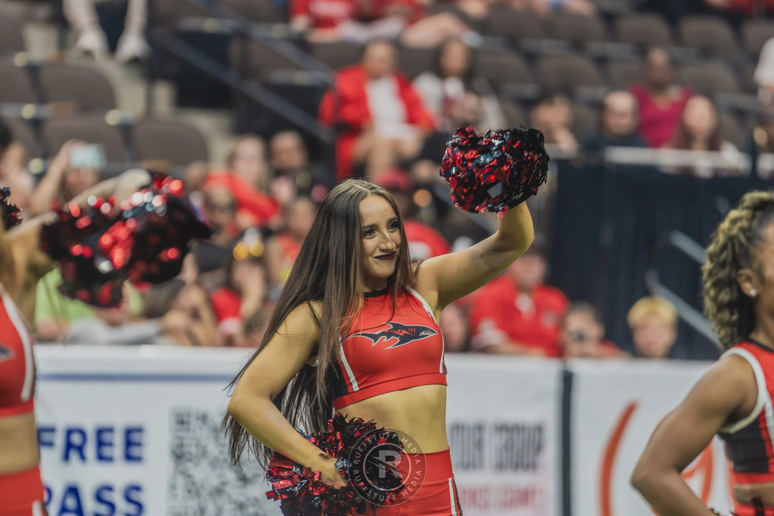 Sharks 260628-245.JPG