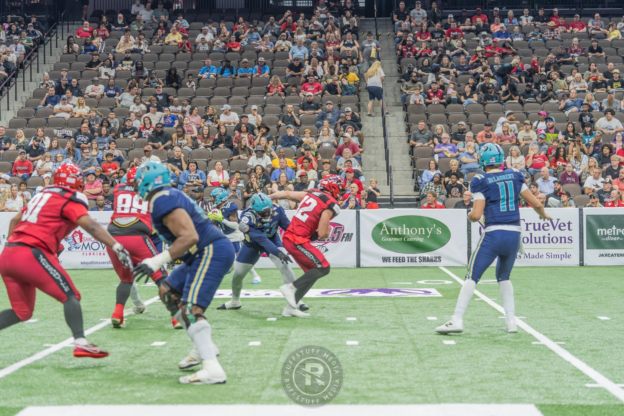 Sharks 260417-187_resize.JPG