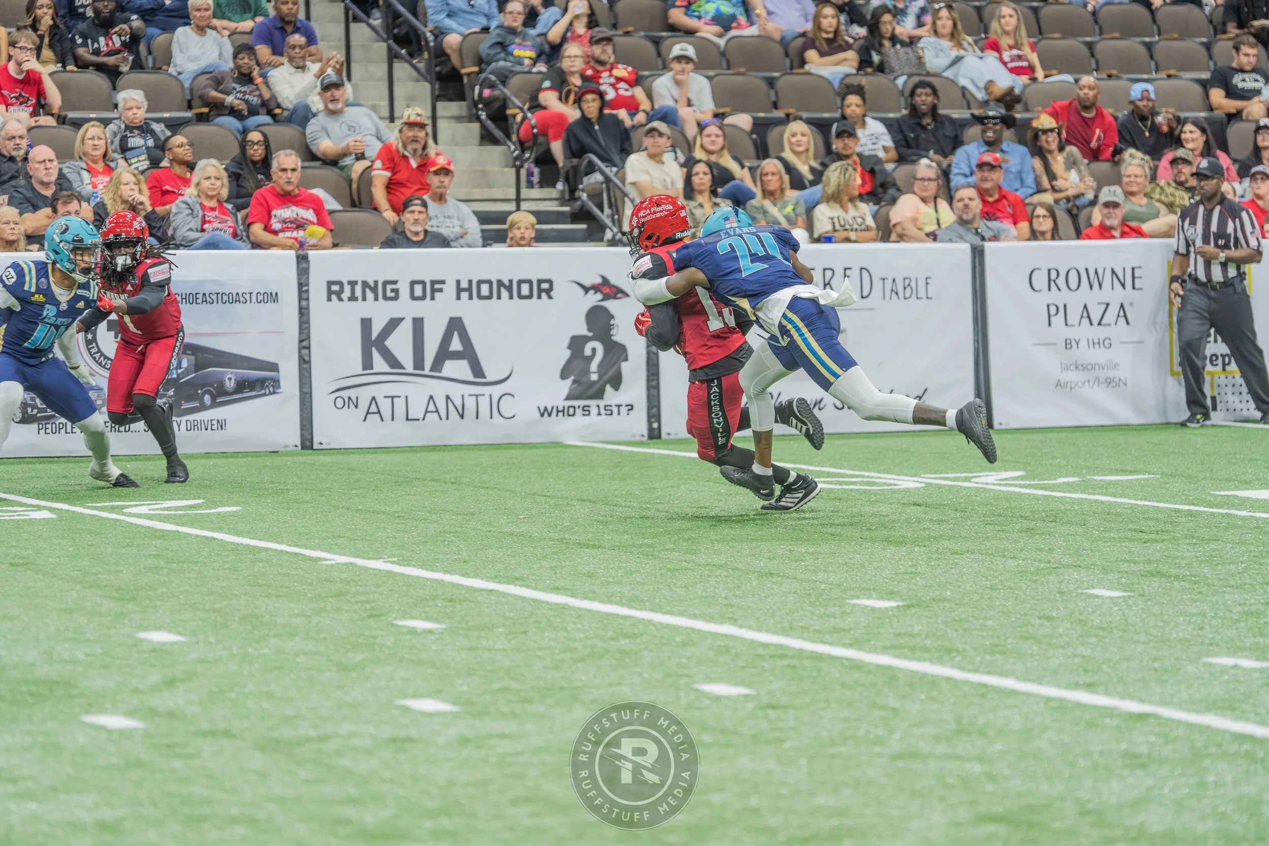 Sharks 260417-420.JPG