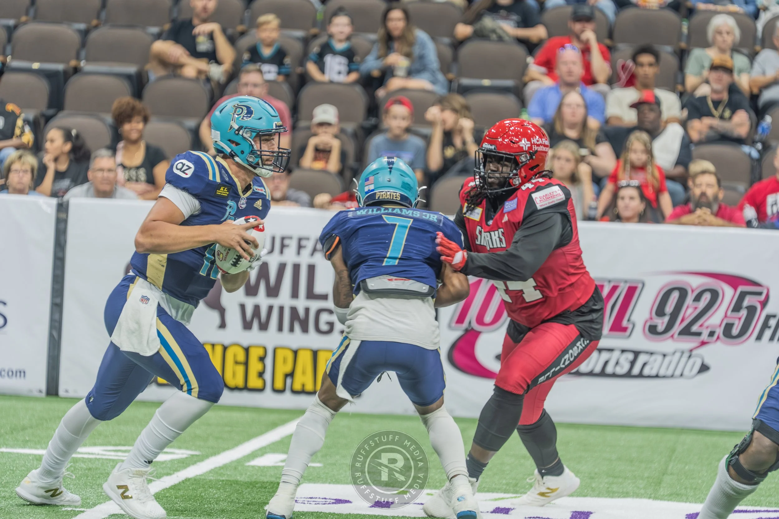 Sharks 260417-117.JPG