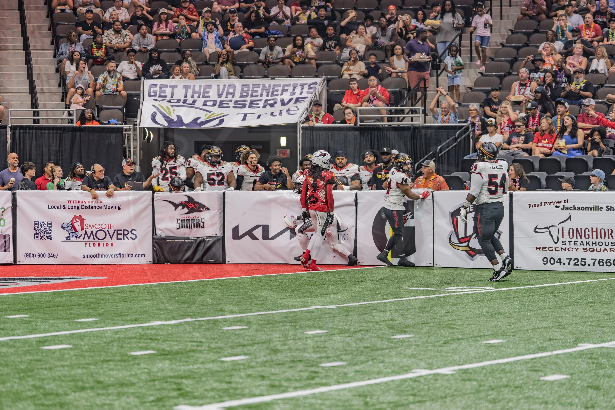 Sharks 260718-32.JPG