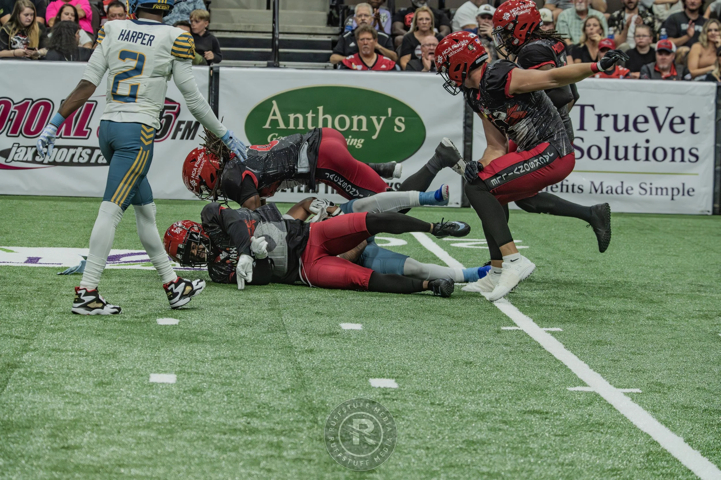 Sharks 260530-535.JPG