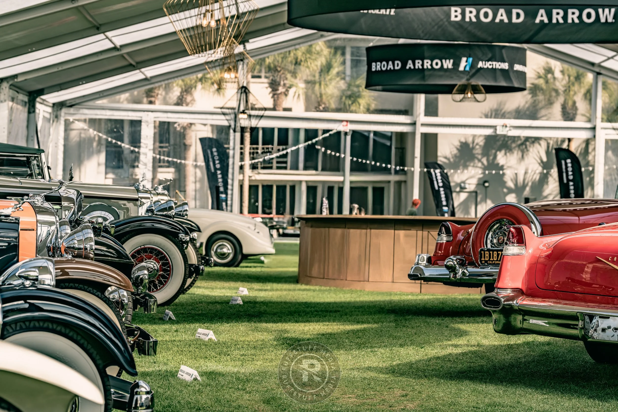 Amelia 260305-28_resize.JPG