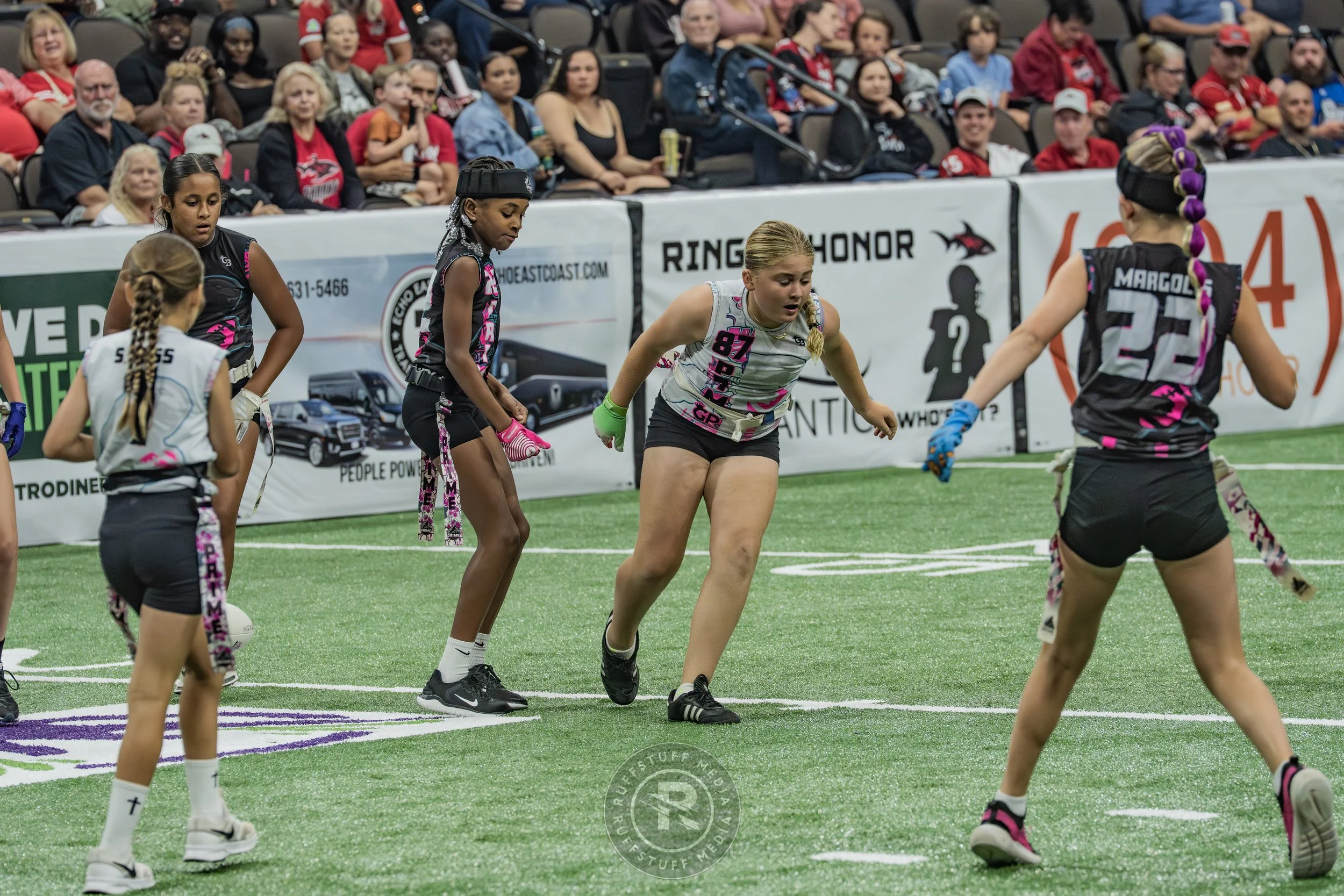 Sharks 260530-390.JPG