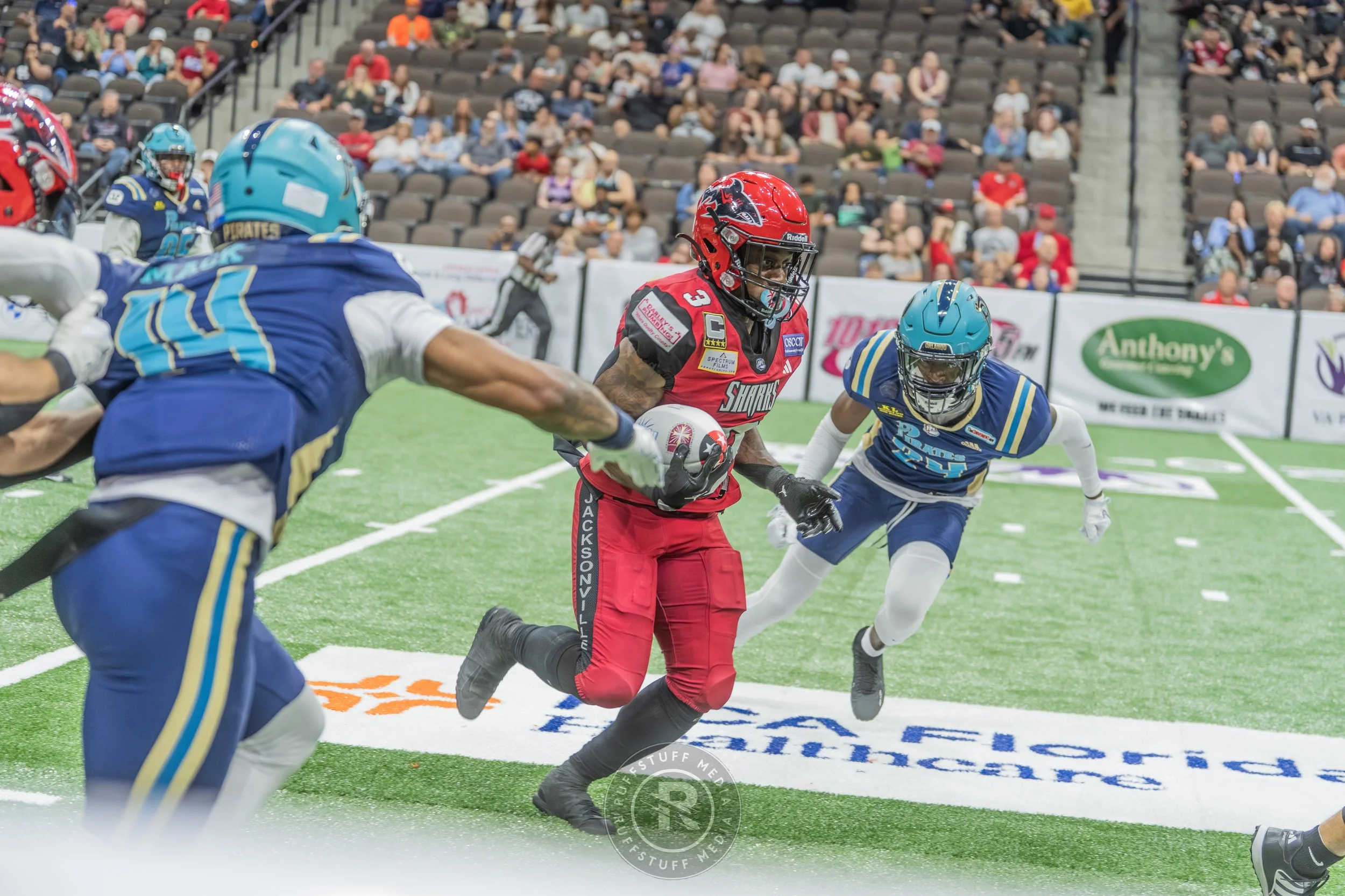 Sharks 260417-475.JPG