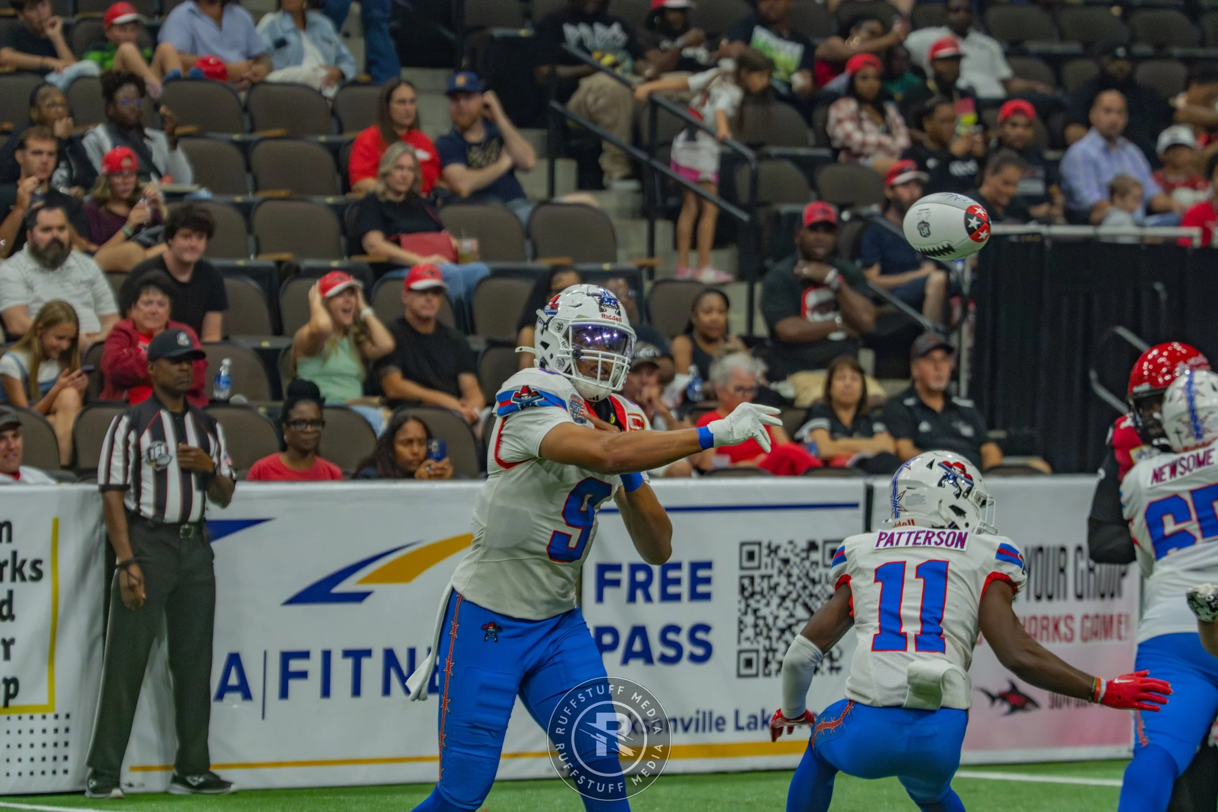 Sharks 260606-258.jpg