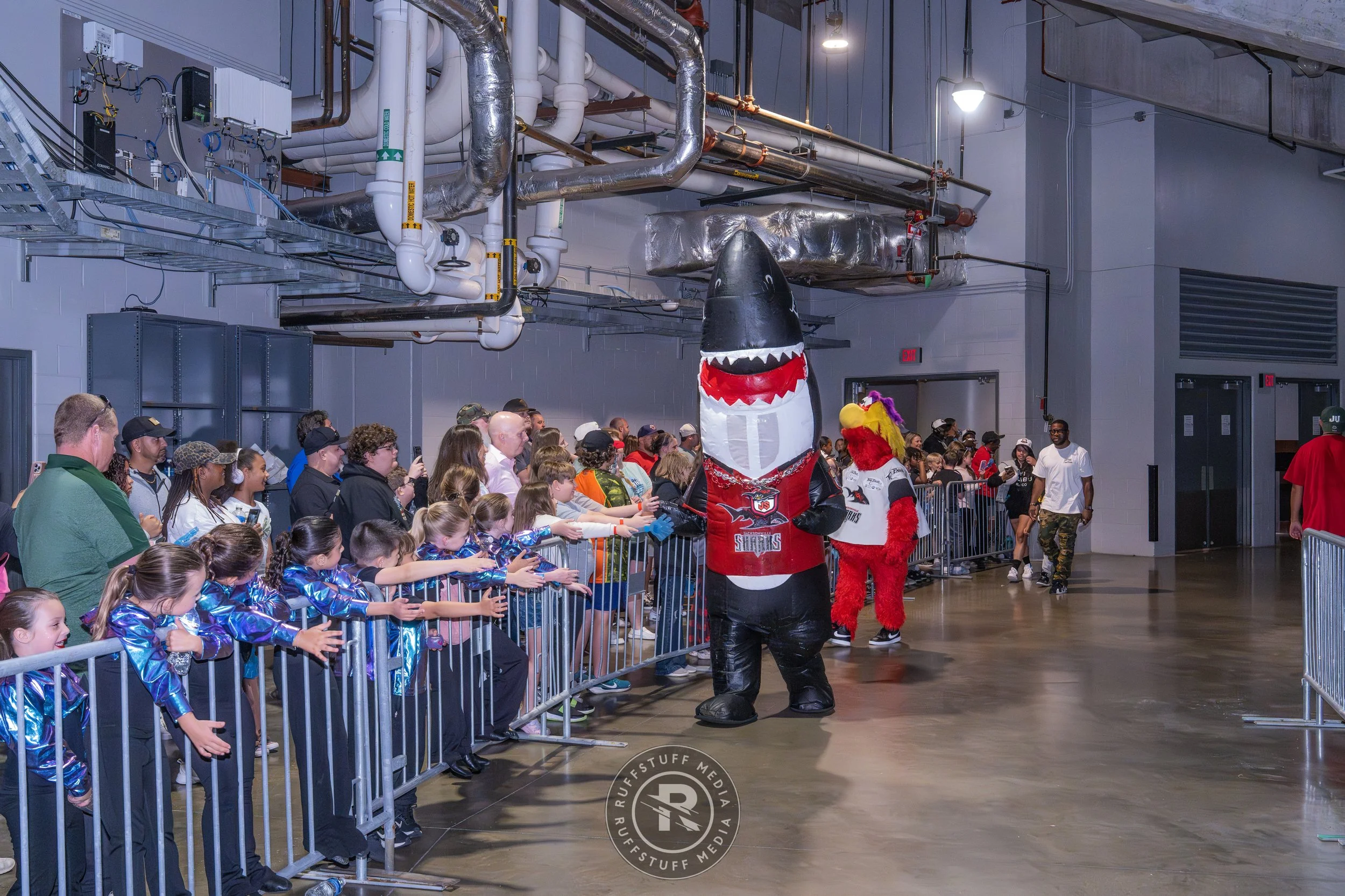 Sharks 260502-43_resize.JPG