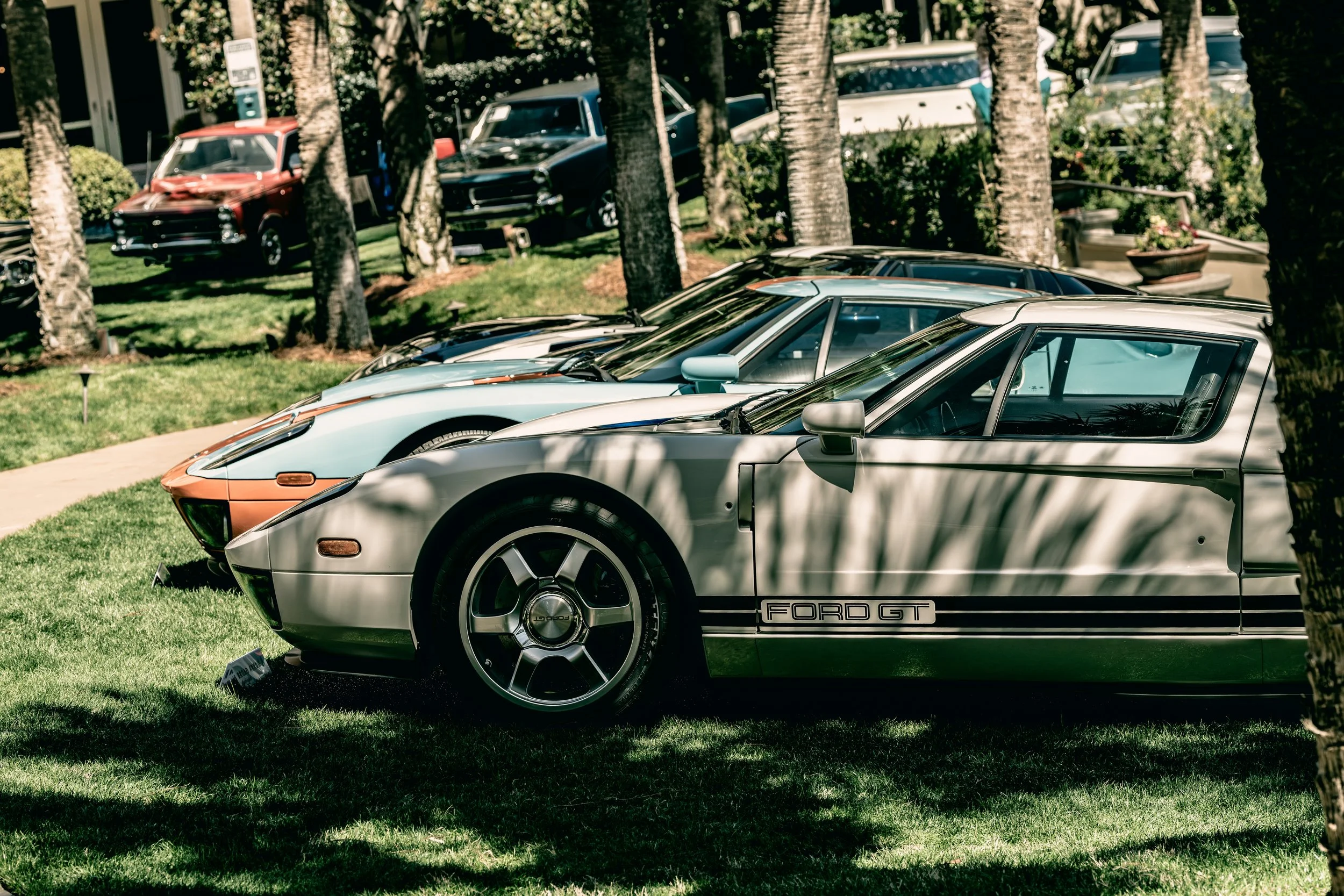 IG-Amelia 260305-50_resize.JPG