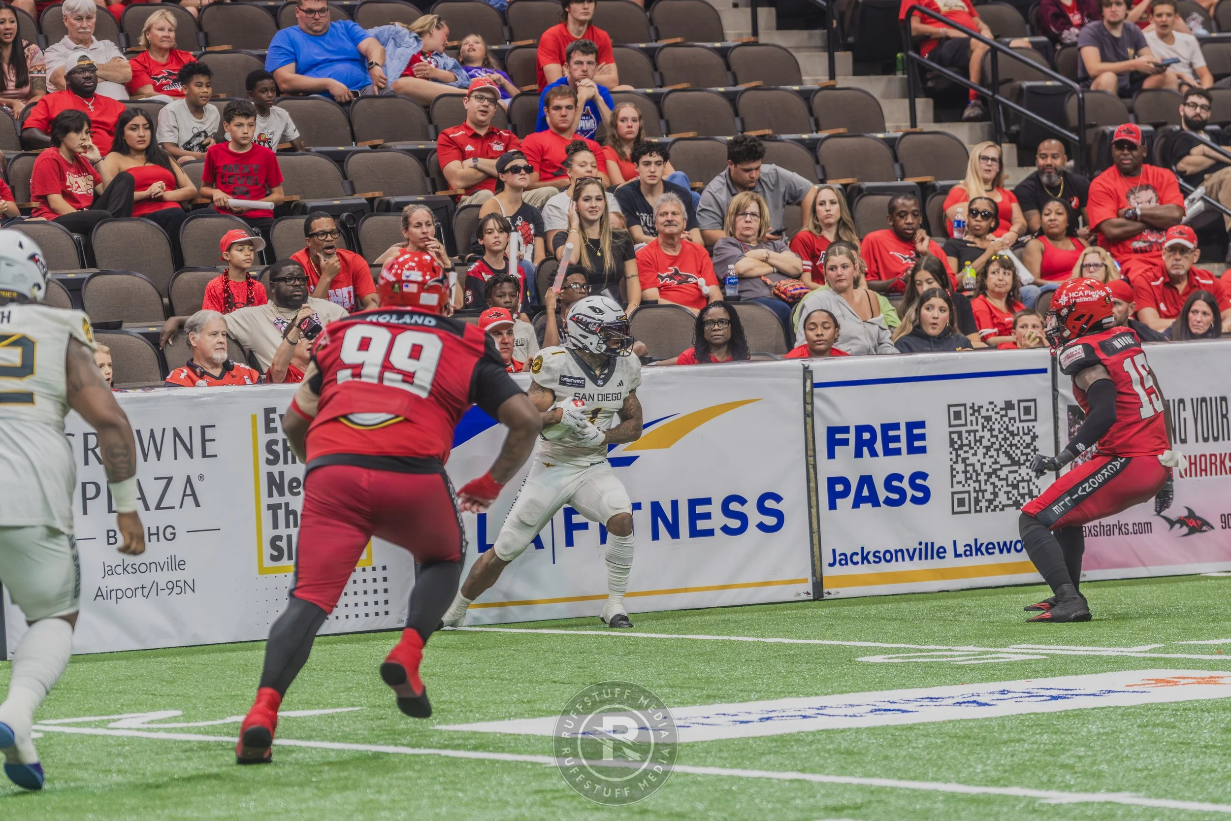 Sharks 260628-525.JPG
