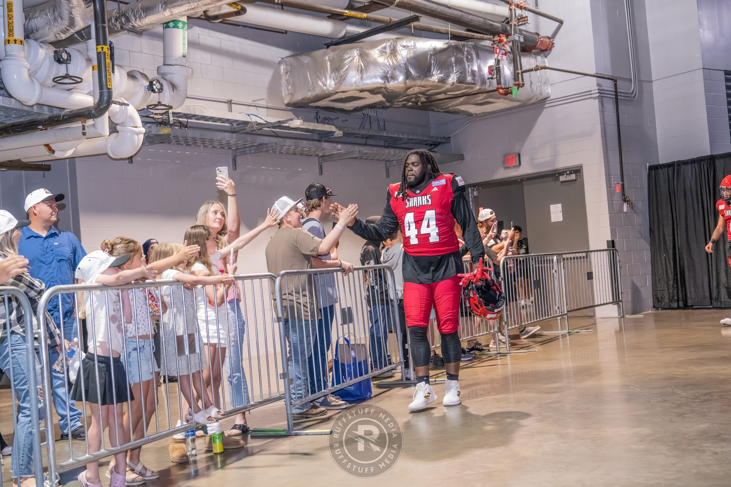 Sharks 260417-33_resize.JPG