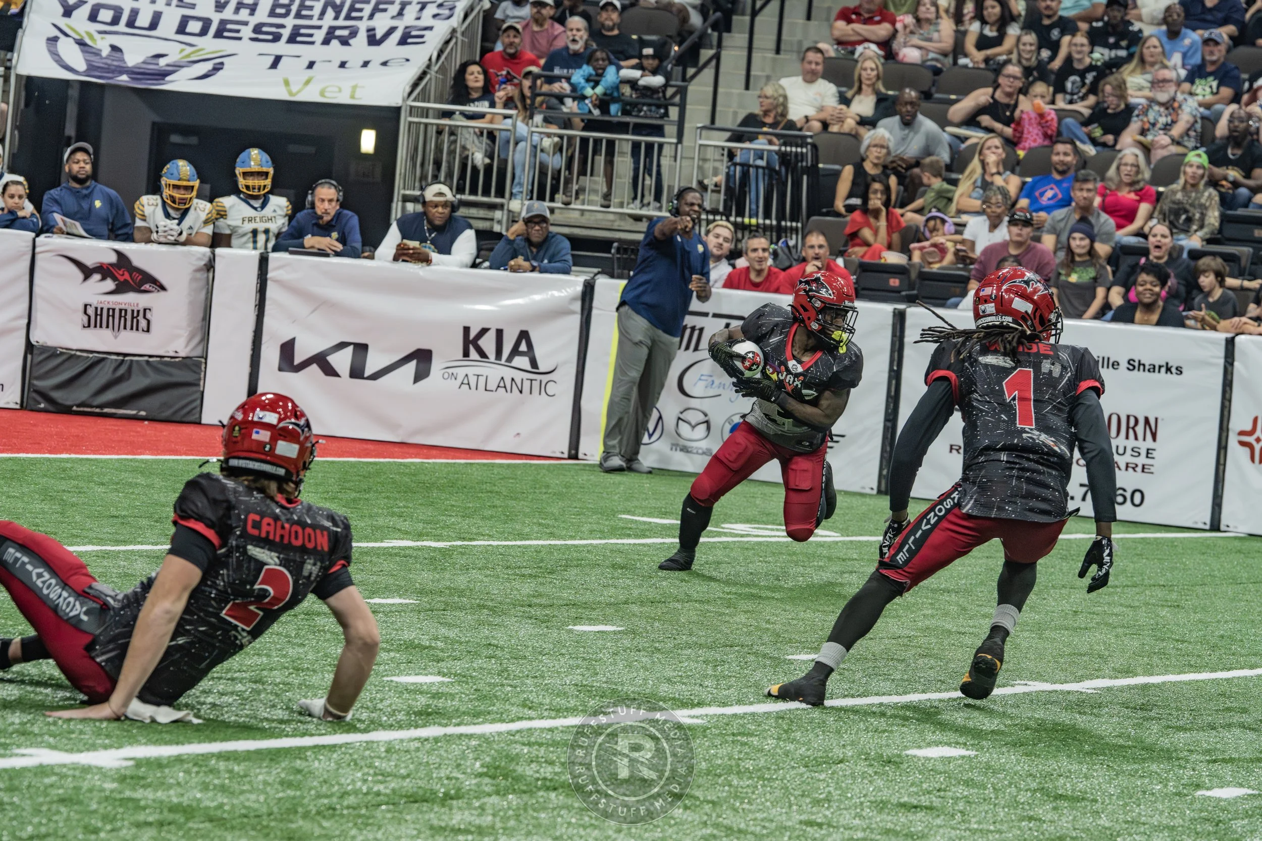 Sharks 260530-290.JPG
