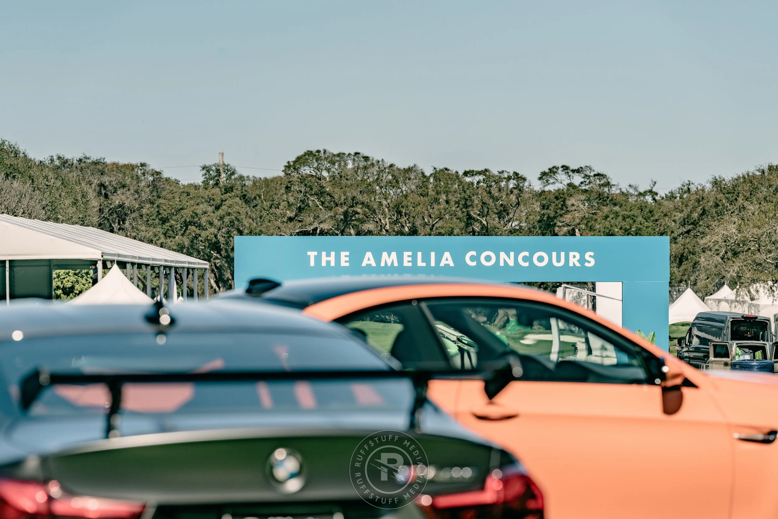 Amelia 260305-53_resize.JPG