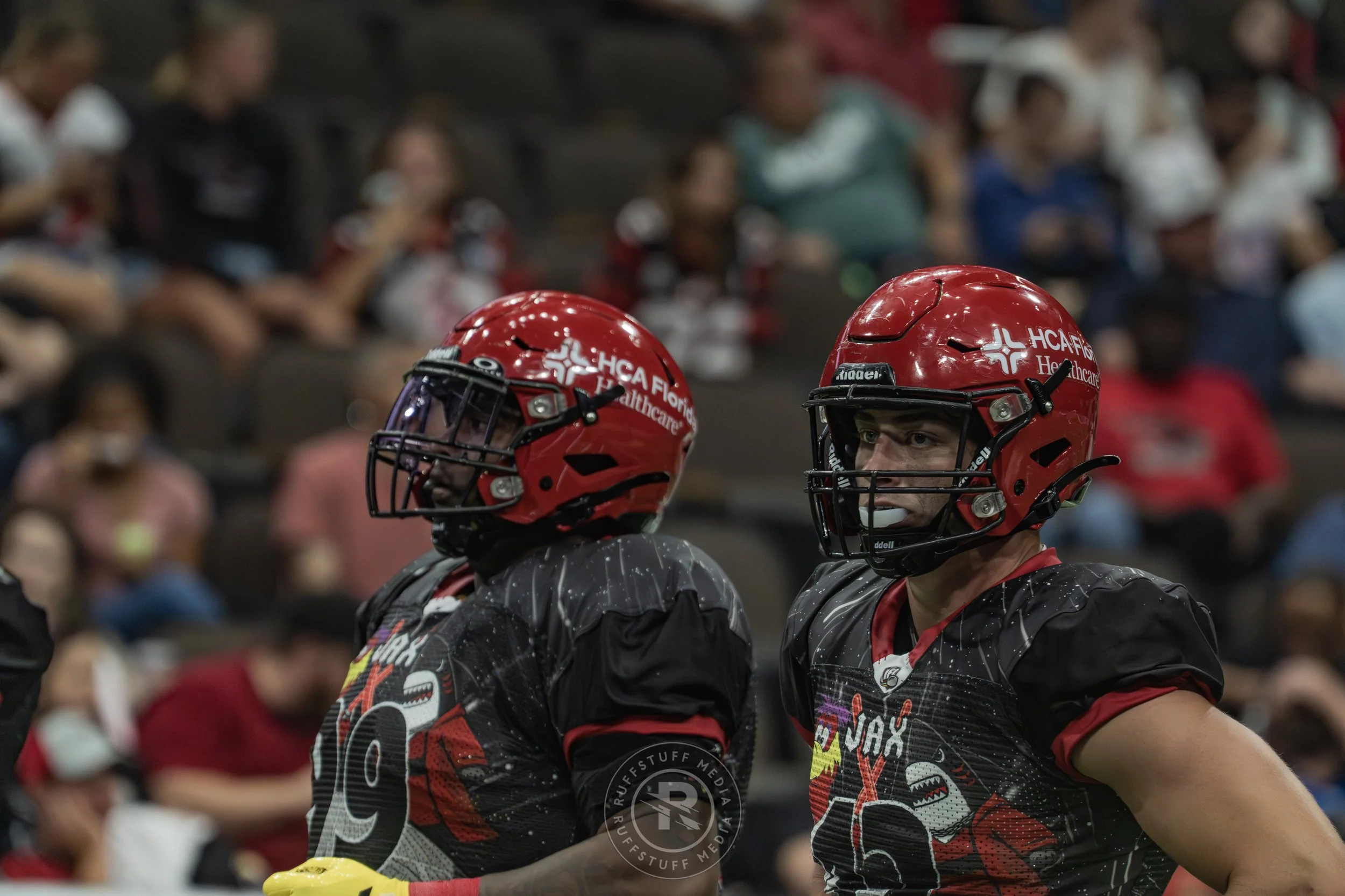 Sharks 260530-529.JPG