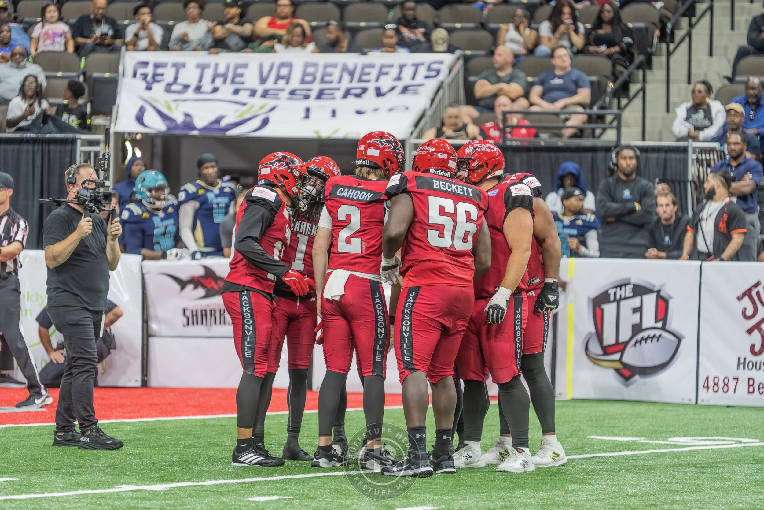 Sharks 260417-470_resize.JPG