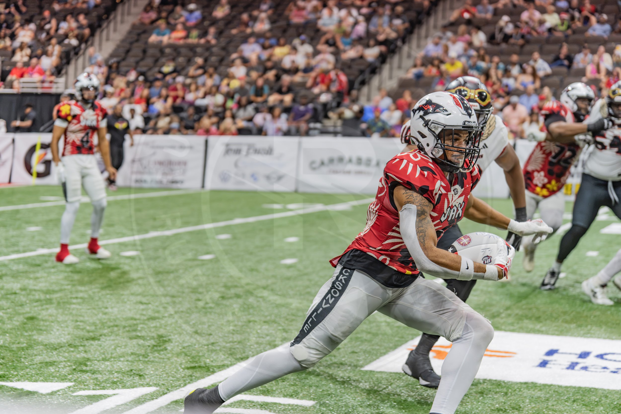 Sharks 260718-225.JPG