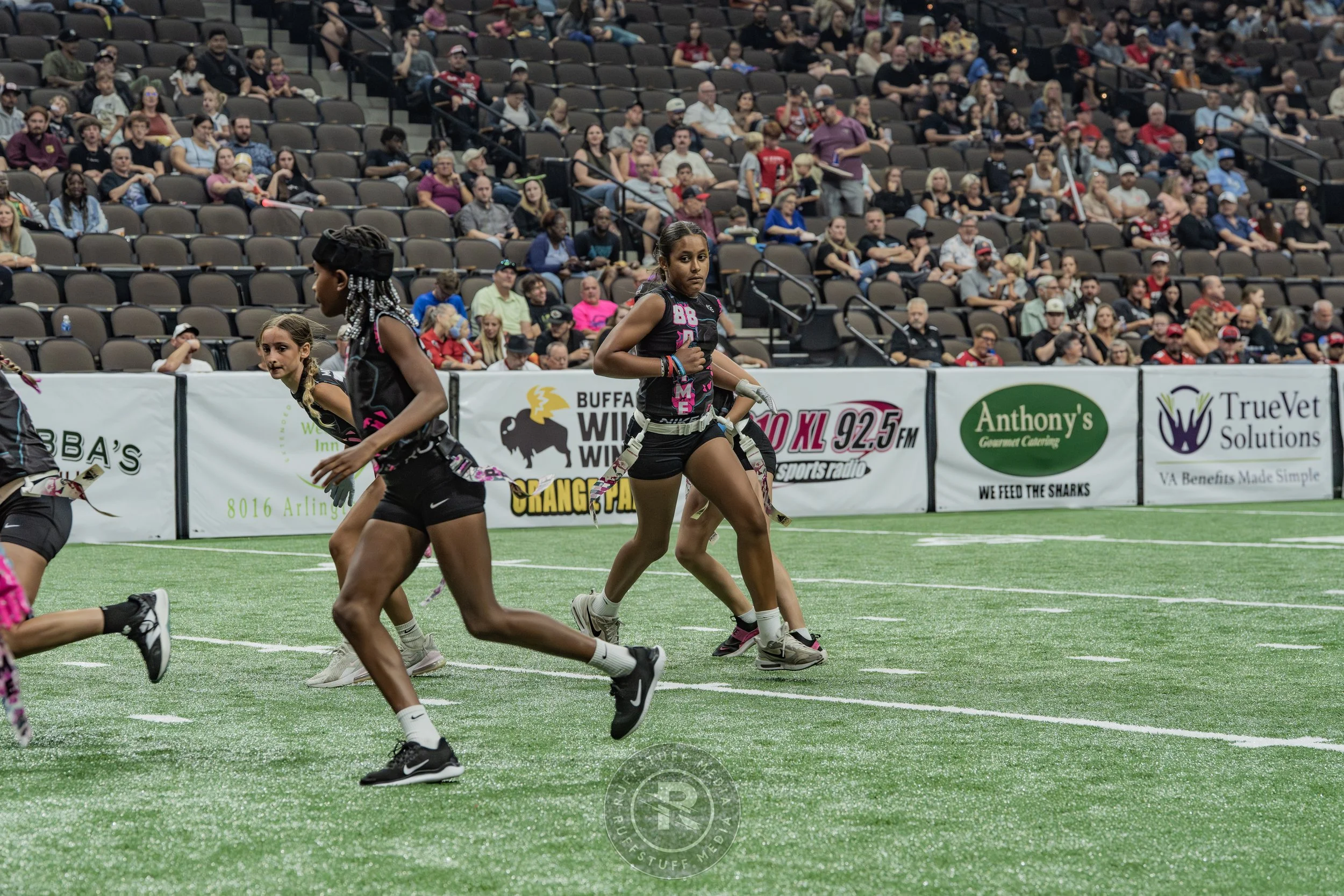 Sharks 260530-415.JPG