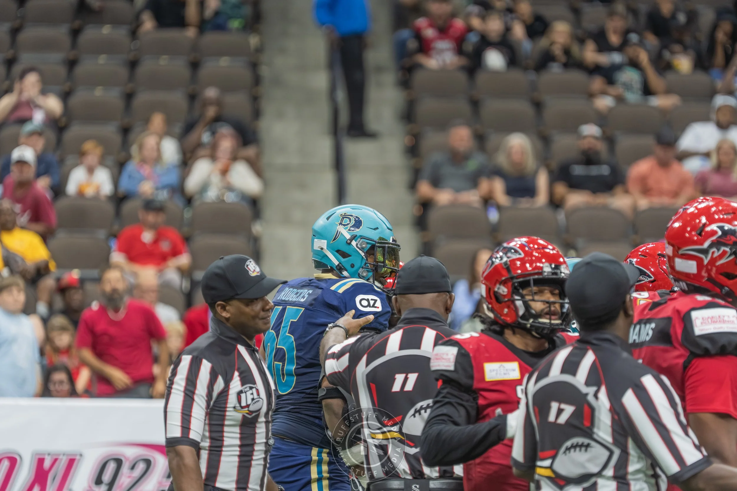 Sharks 260417-455.JPG