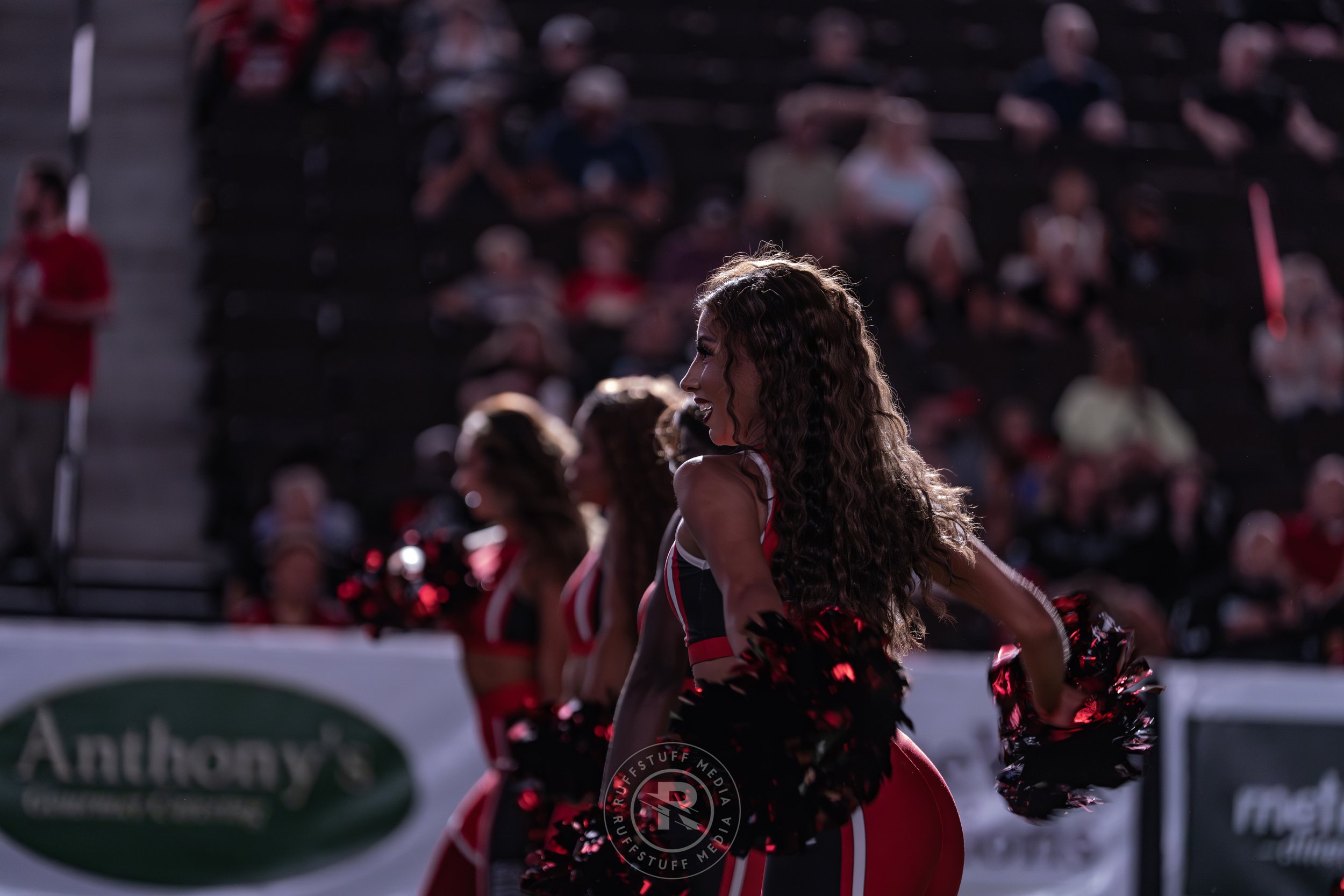 Sharks 260530-61.JPG